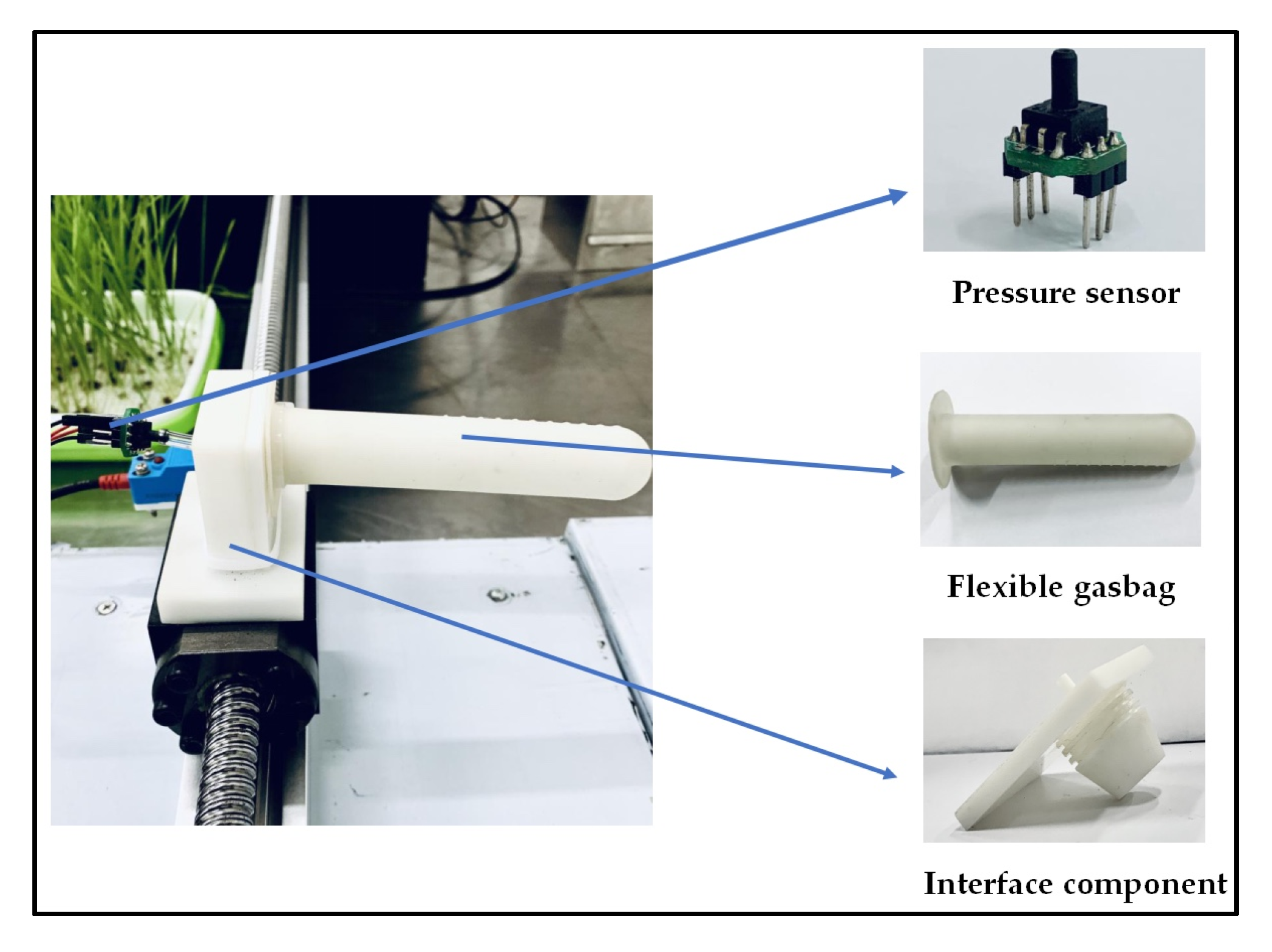 Sensors 20 05135 g001