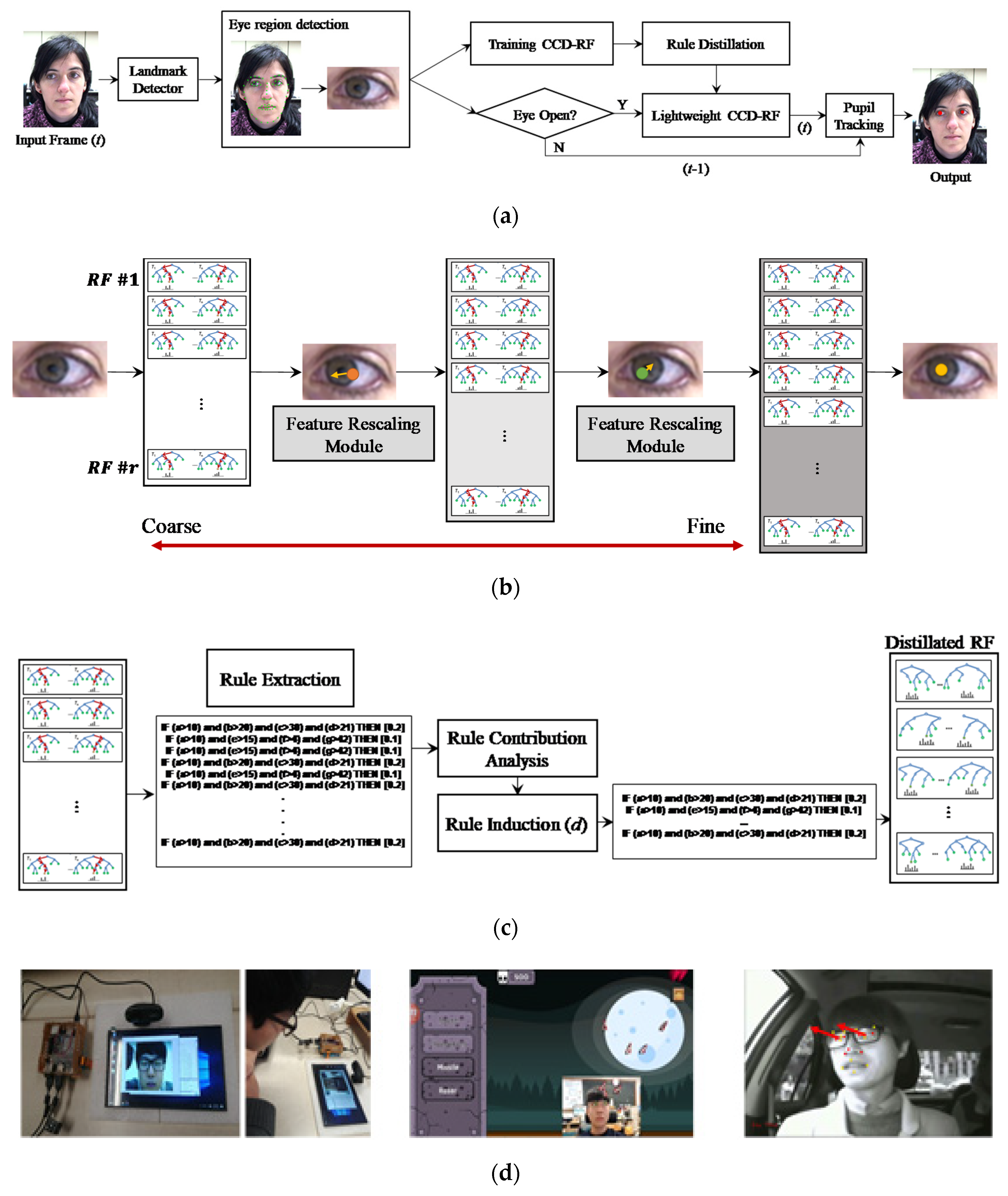 Sensors 20 05141 g001