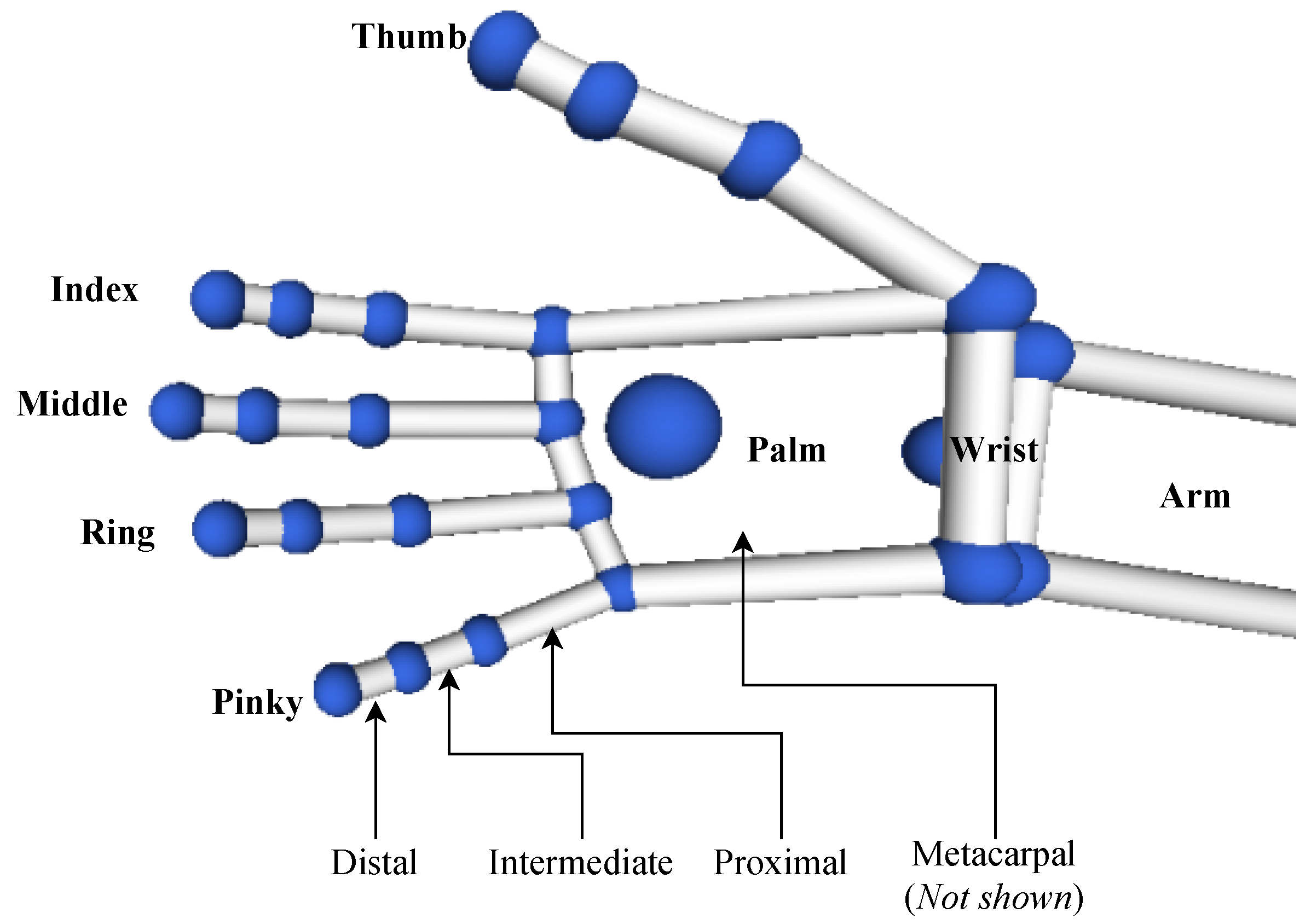 Sensors 20 05151 g005