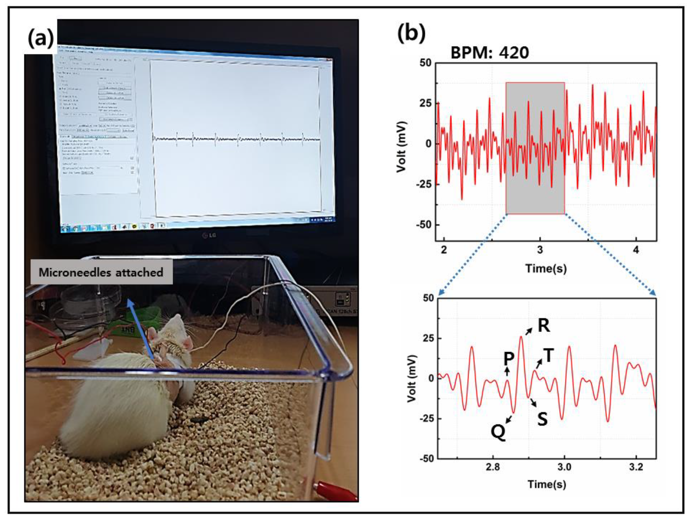 Sensors 20 05183 g009