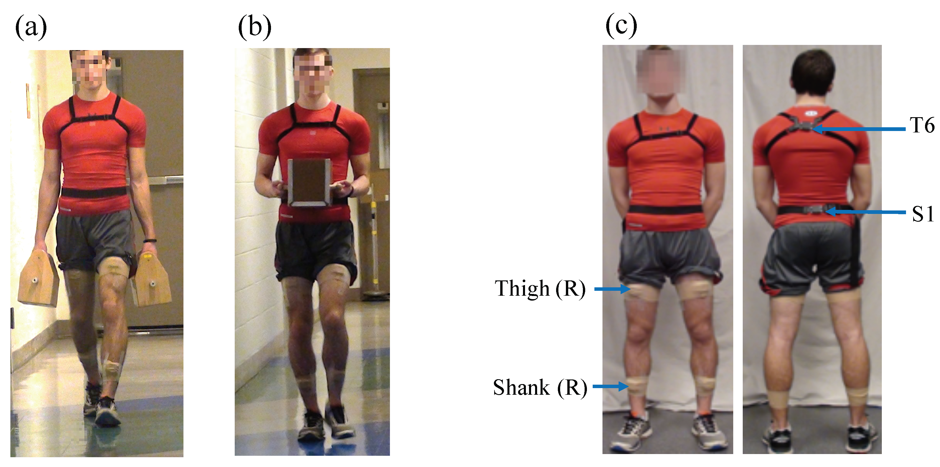 Sensors 20 05206 g001 Sensors 20 05206 g001