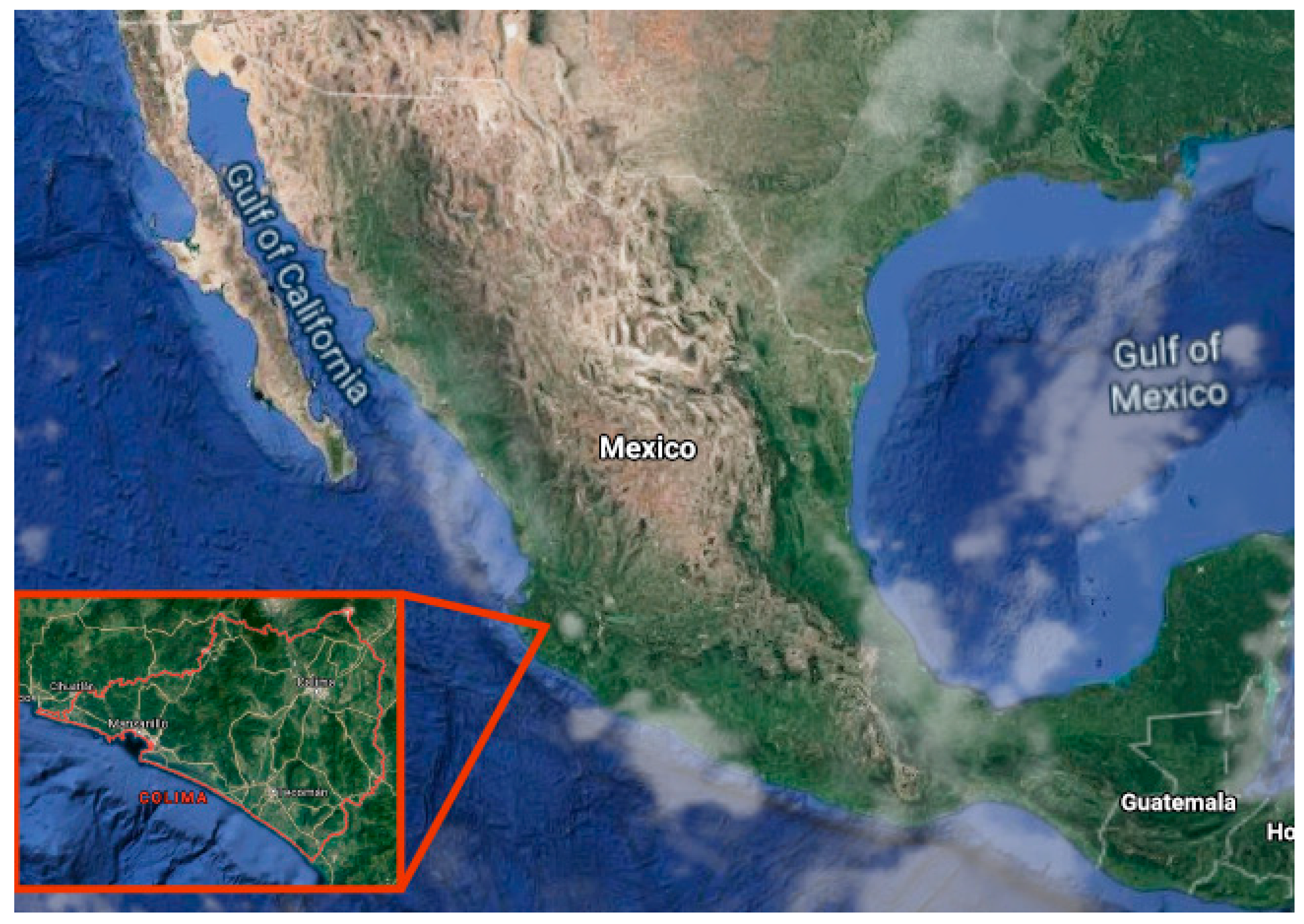 Sensors 20 05231 g009