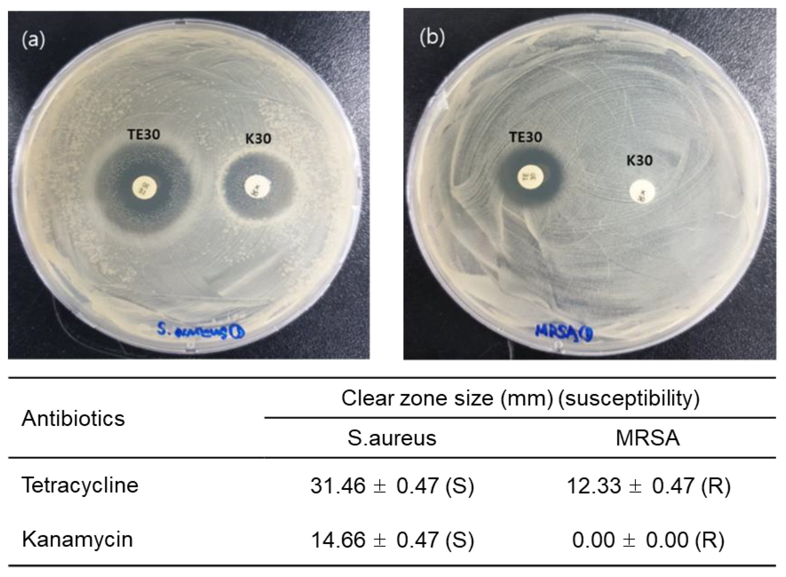 Sensors 20 05237 g003