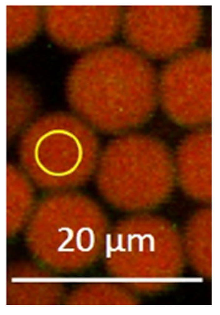 Sensors 20 05243 g001