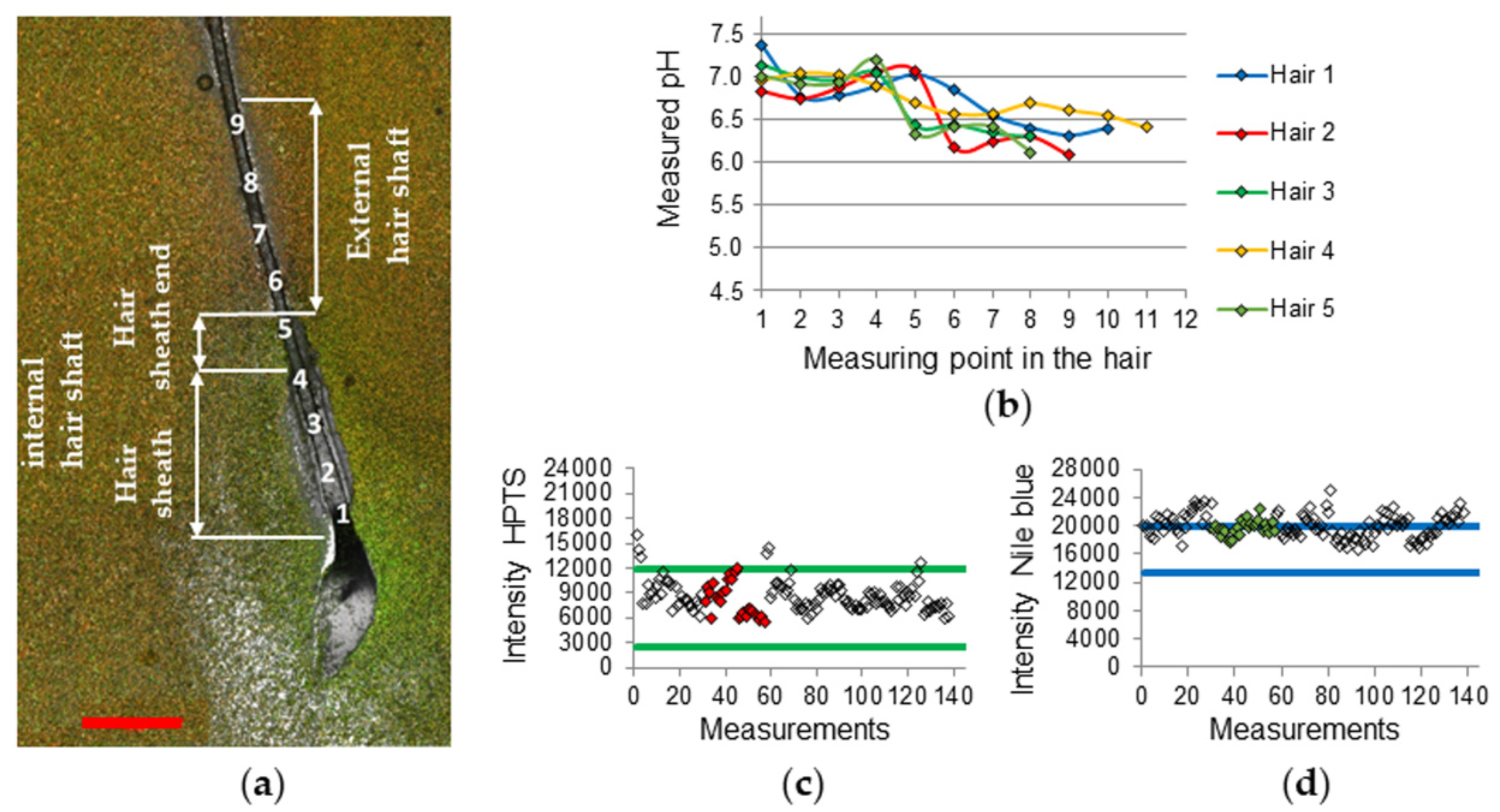 Sensors 20 05243 g003
