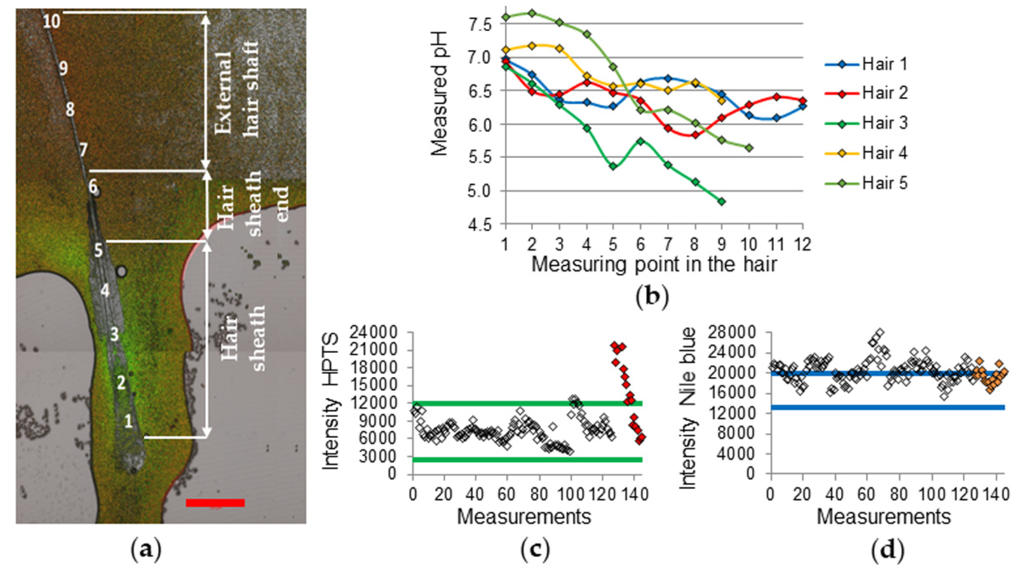 Sensors 20 05243 g004