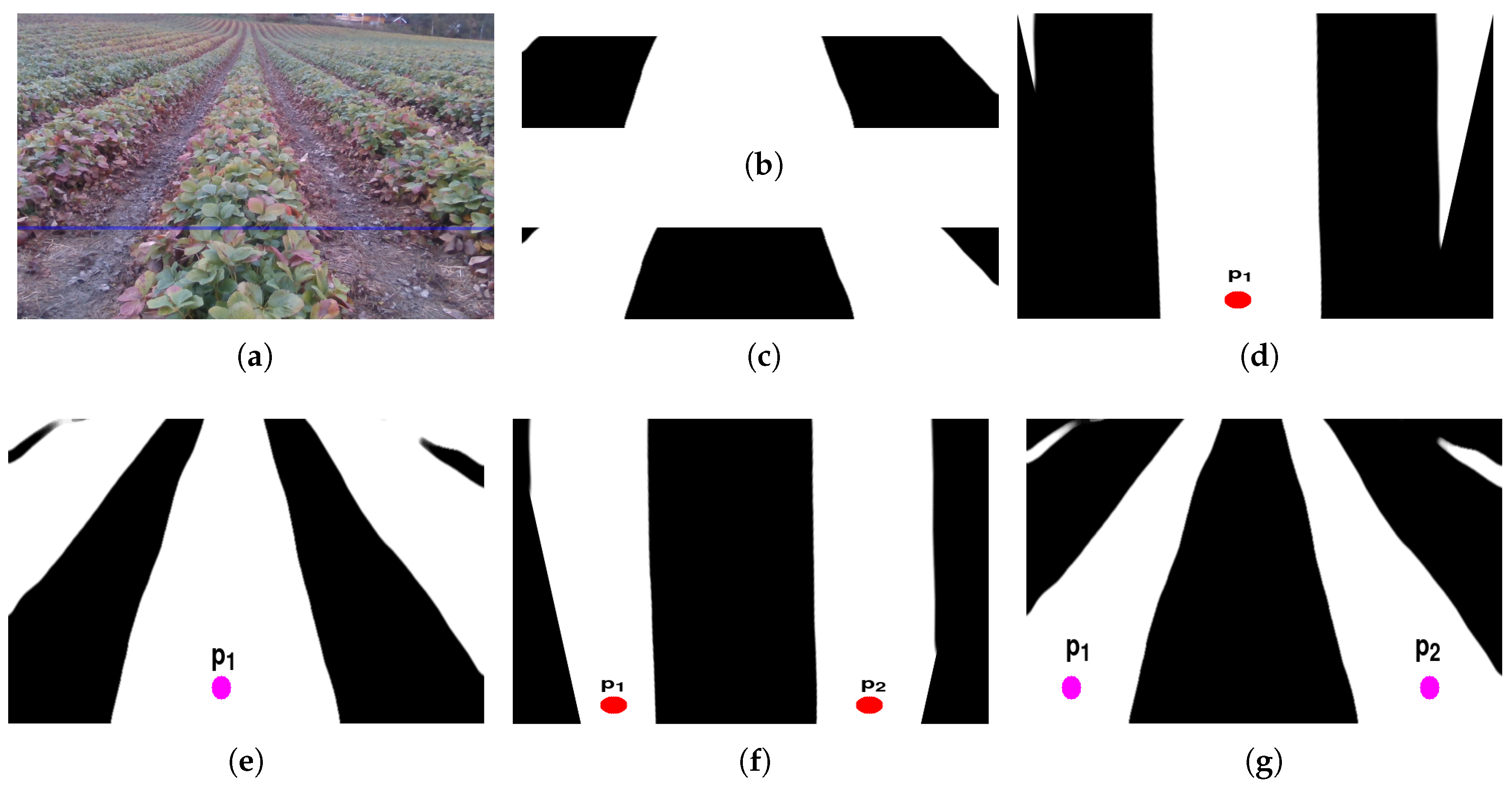 Sensors 20 05249 g004