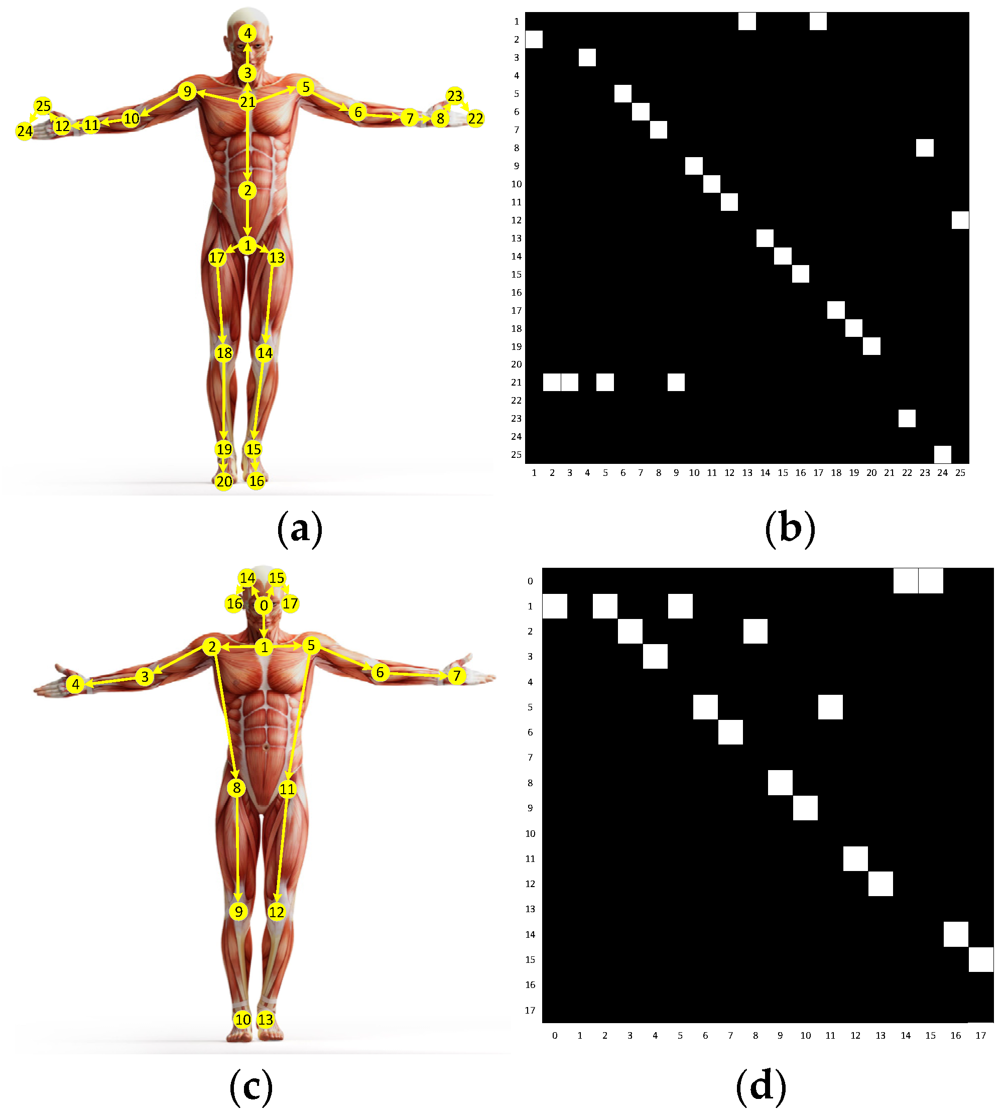 Sensors 20 05260 g003