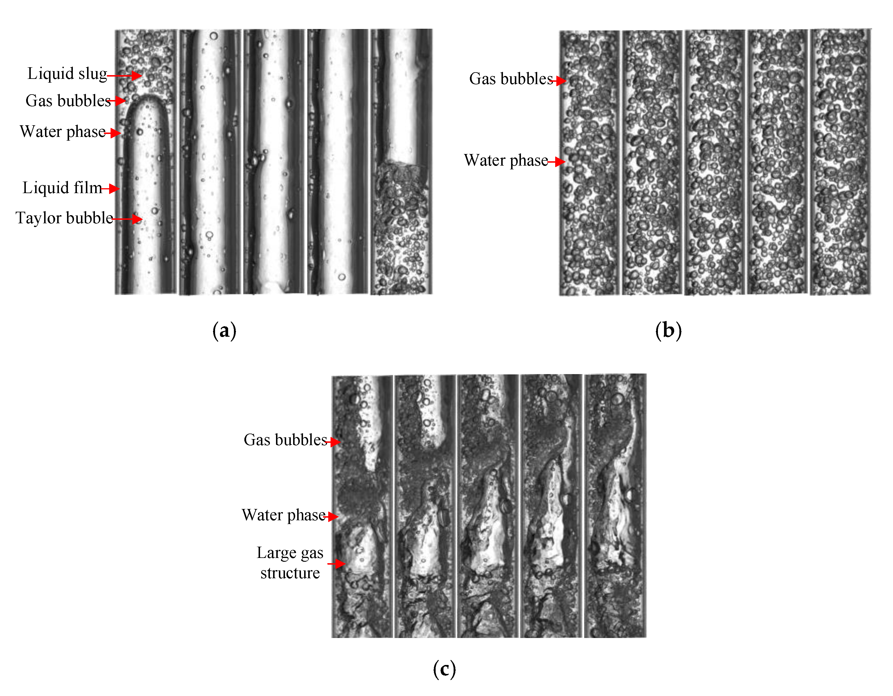 Sensors 20 05263 g005