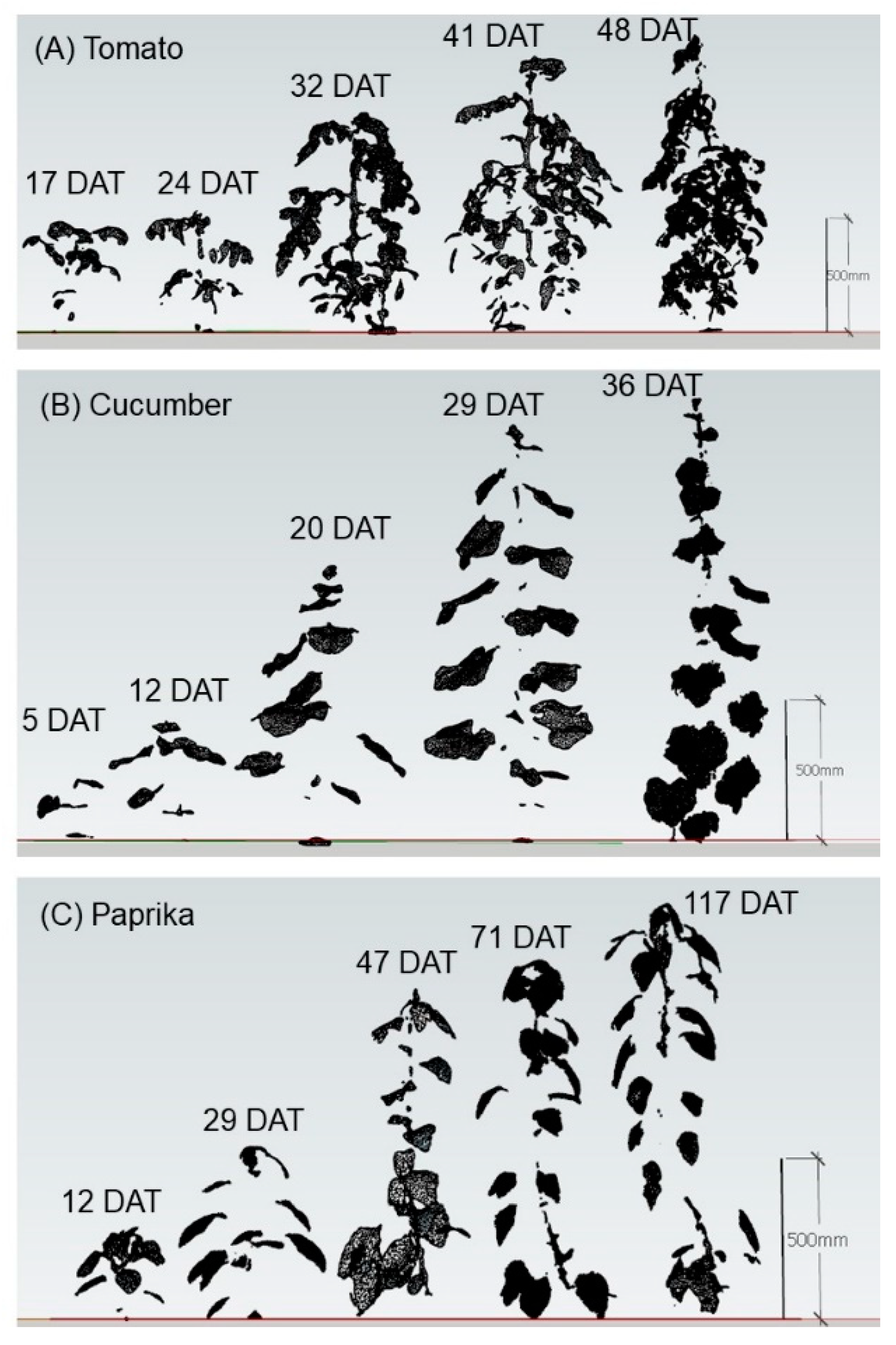 Sensors 20 05270 g003 Sensors 20 05270 g003