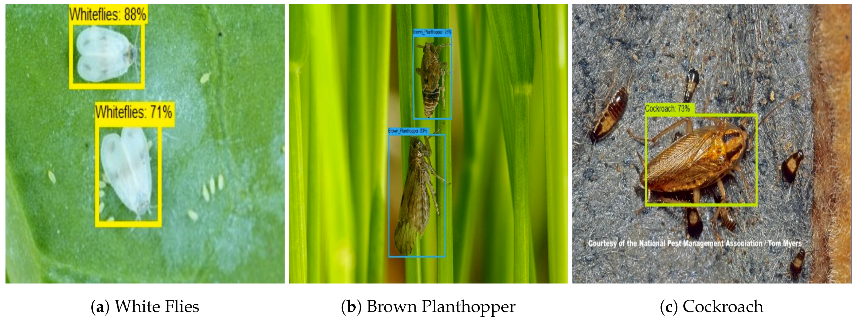 Sensors 20 05280 g009