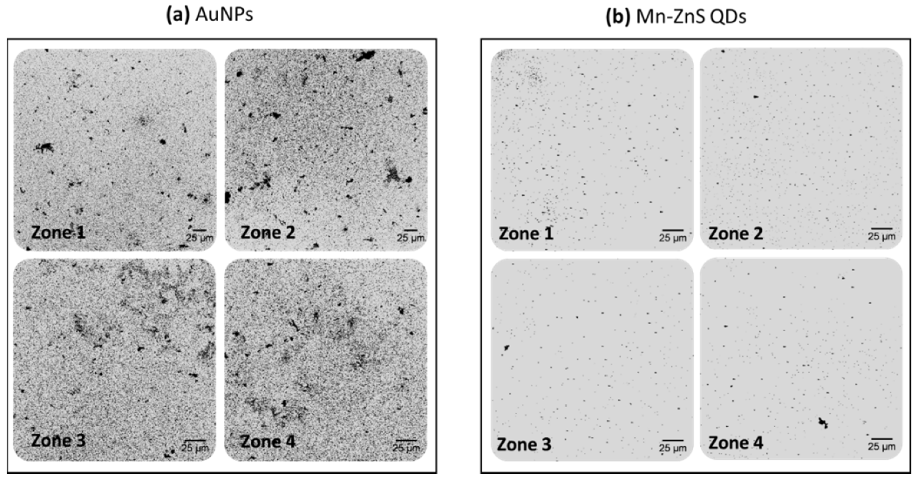 Sensors 20 05287 g003 Sensors 20 05287 g003