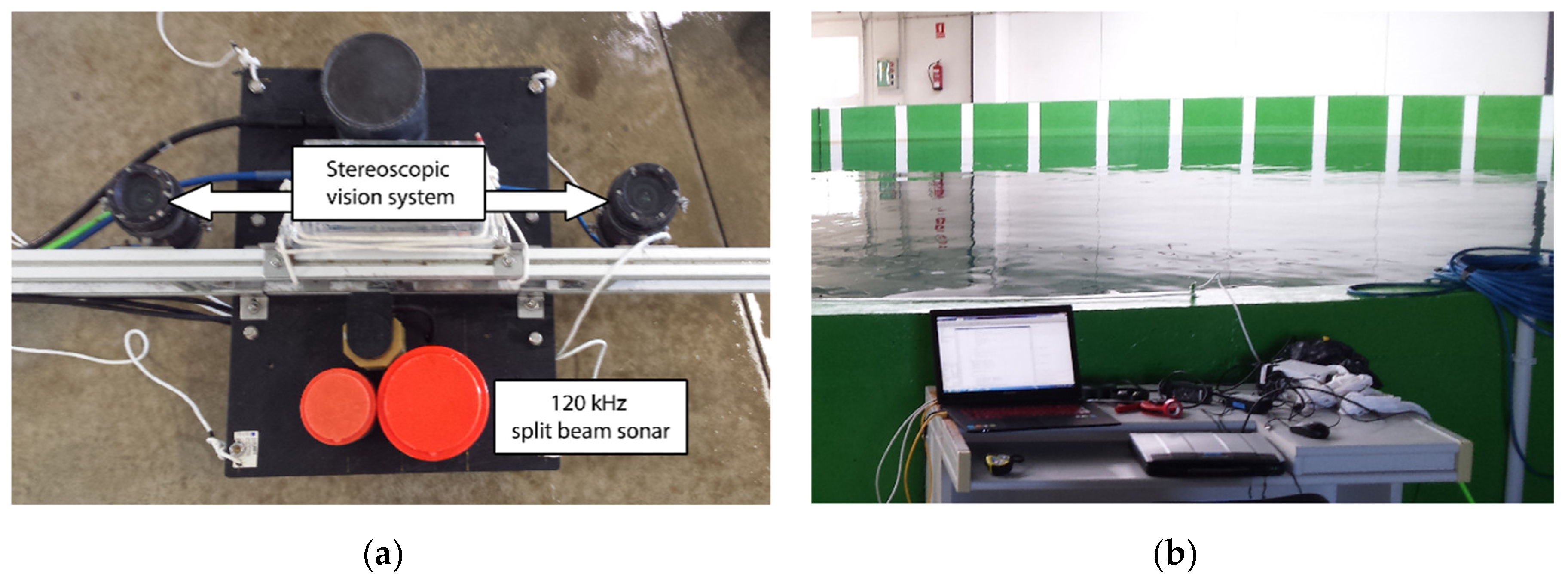 Sensors 20 05294 g002 Sensors 20 05294 g002