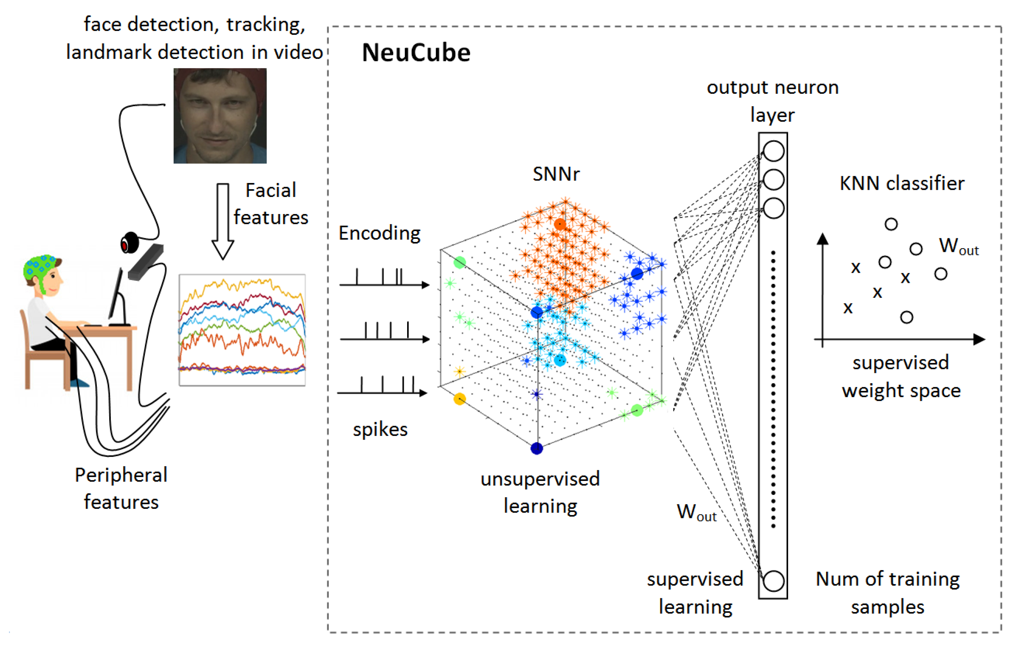 Fuzzy neural network