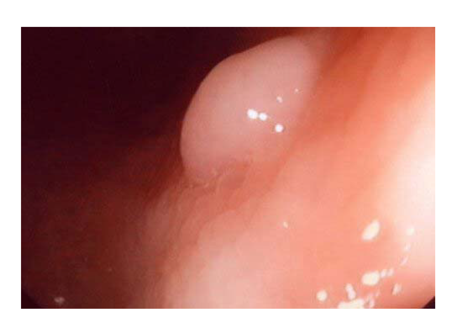 Sensors 20 05403 g001