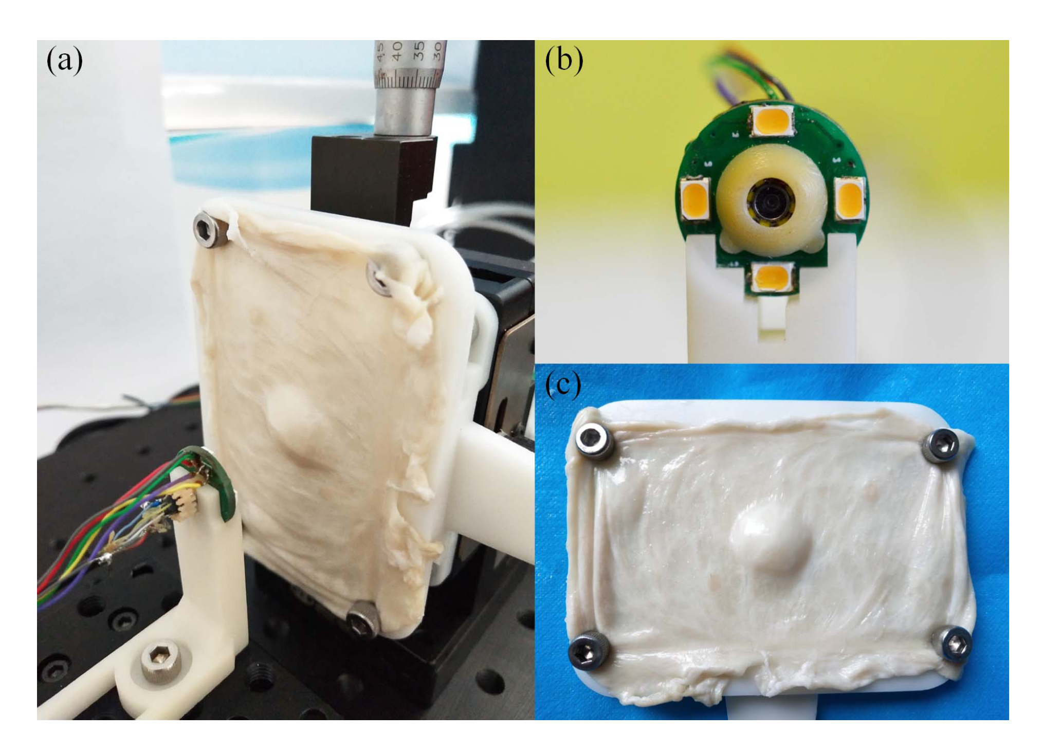 Sensors 20 05403 g011