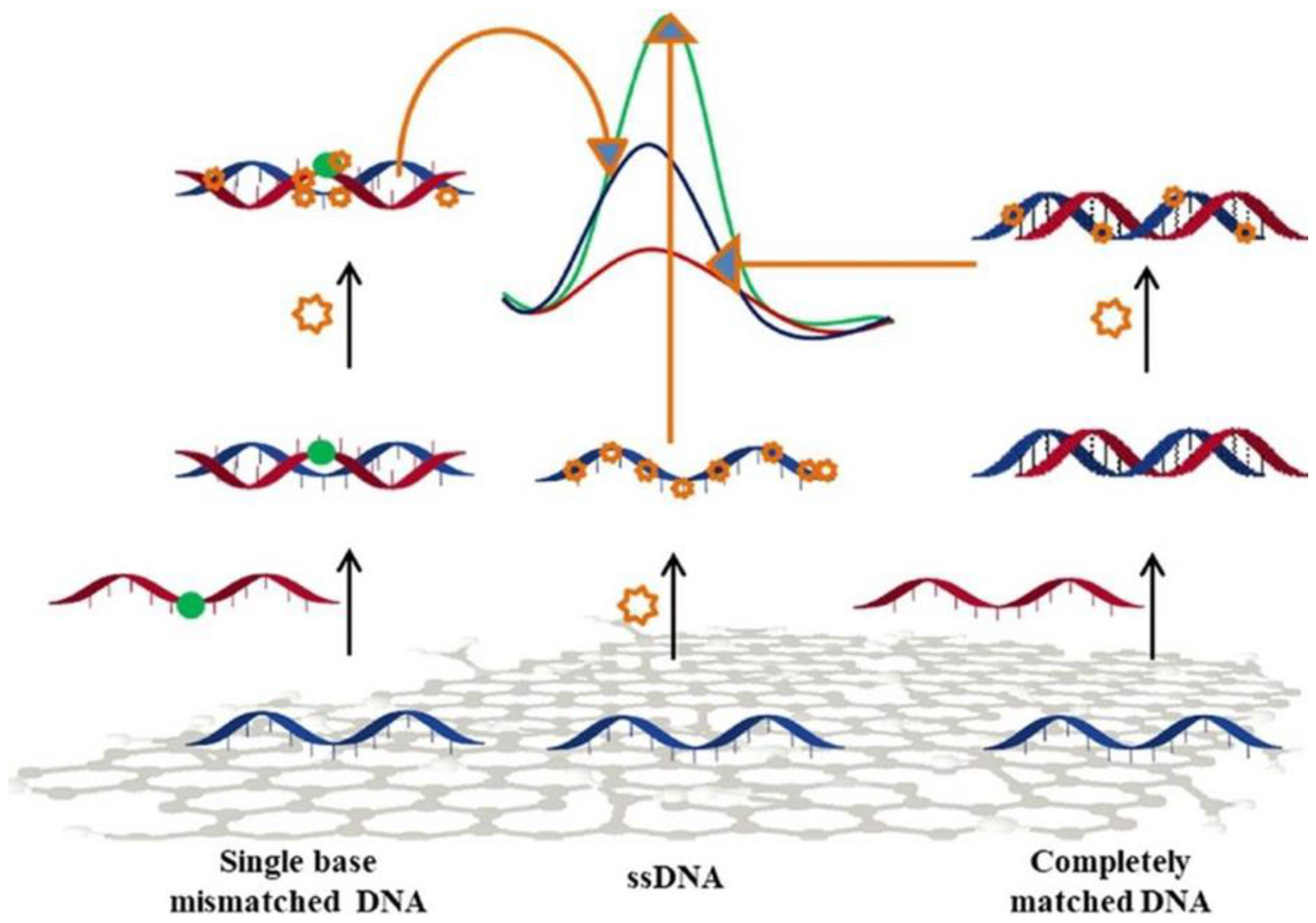 Sensors 20 05404 g009