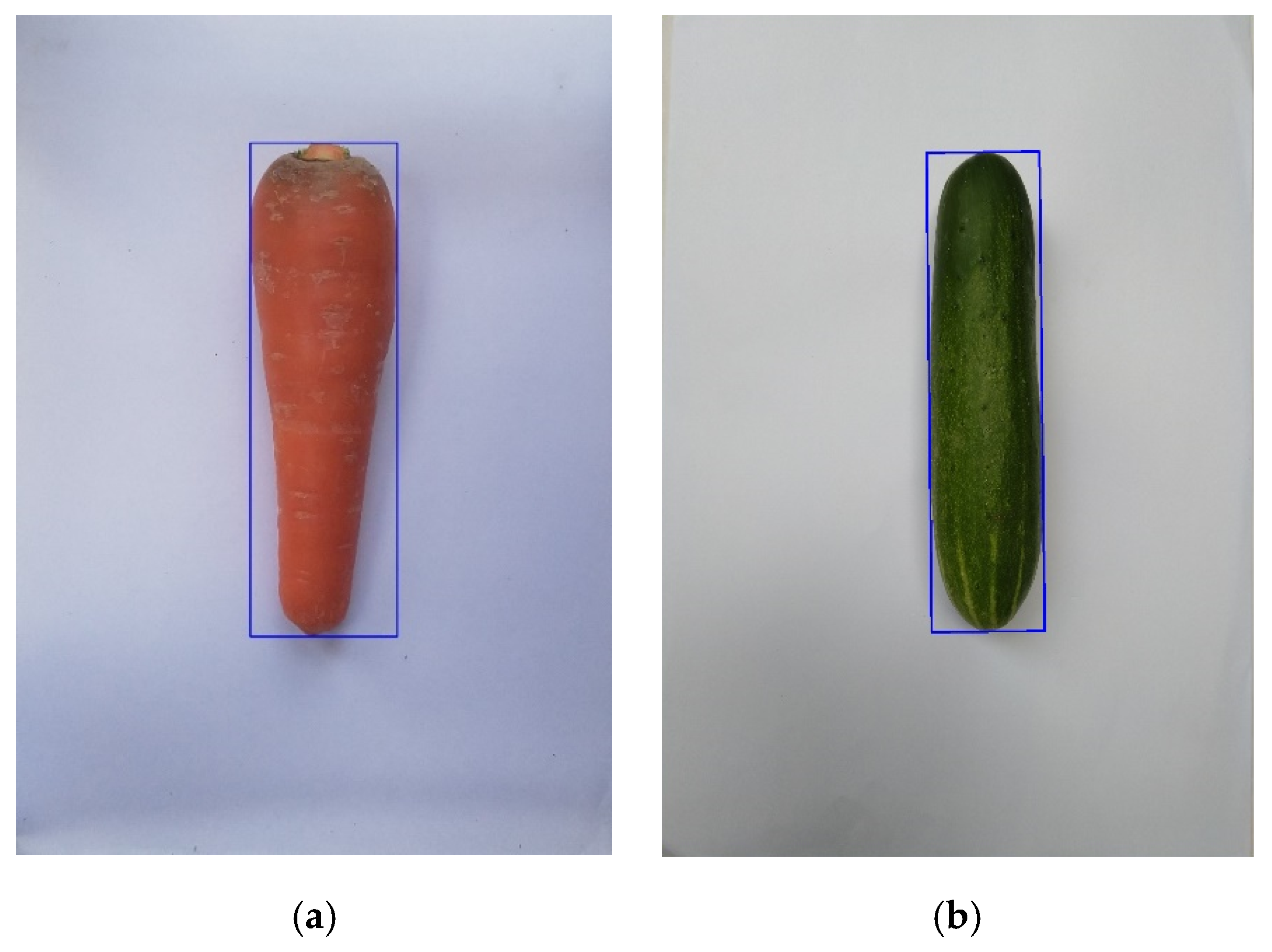 Sensors 20 05406 g010