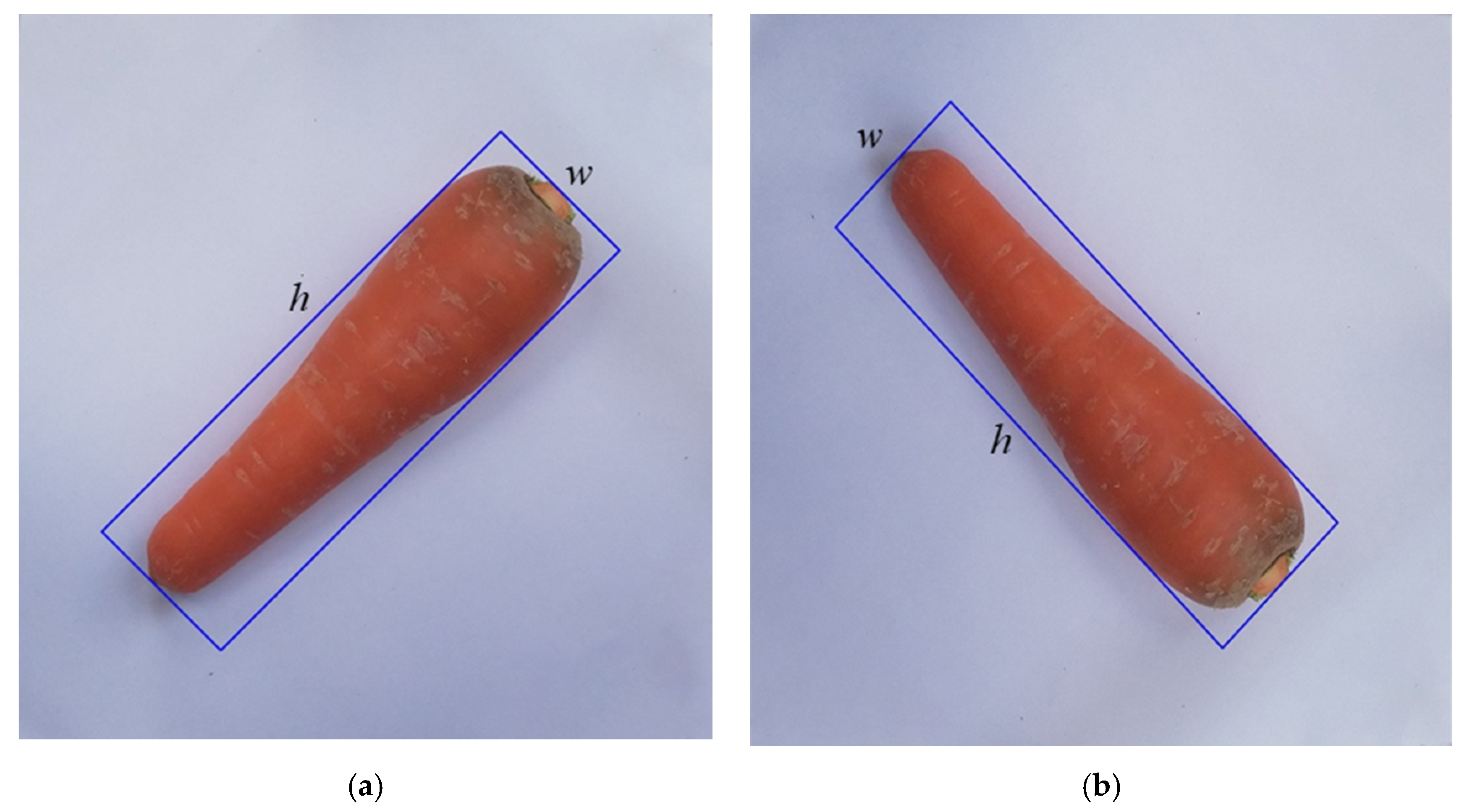 Sensors 20 05406 g011