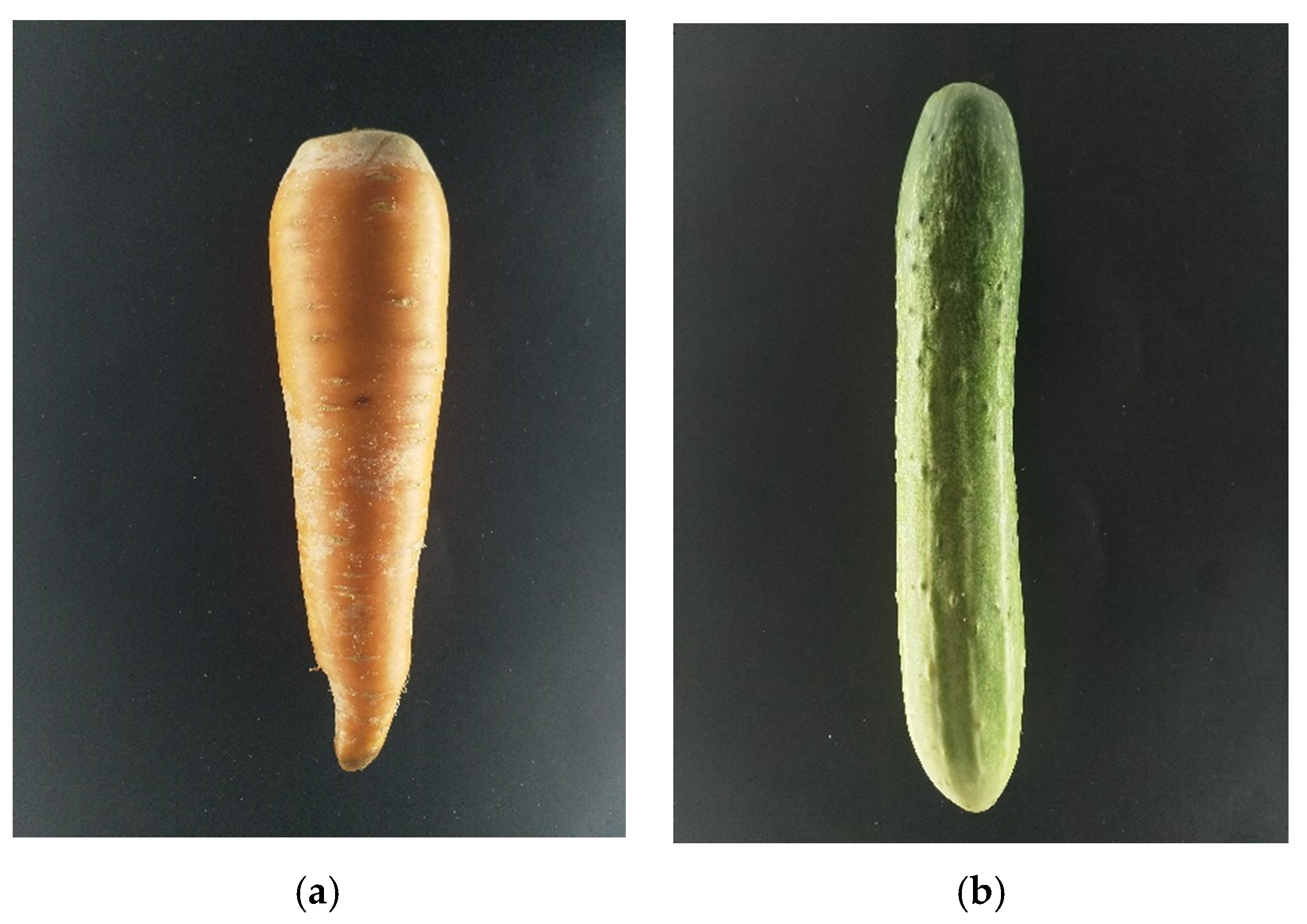 Sensors 20 05406 g019