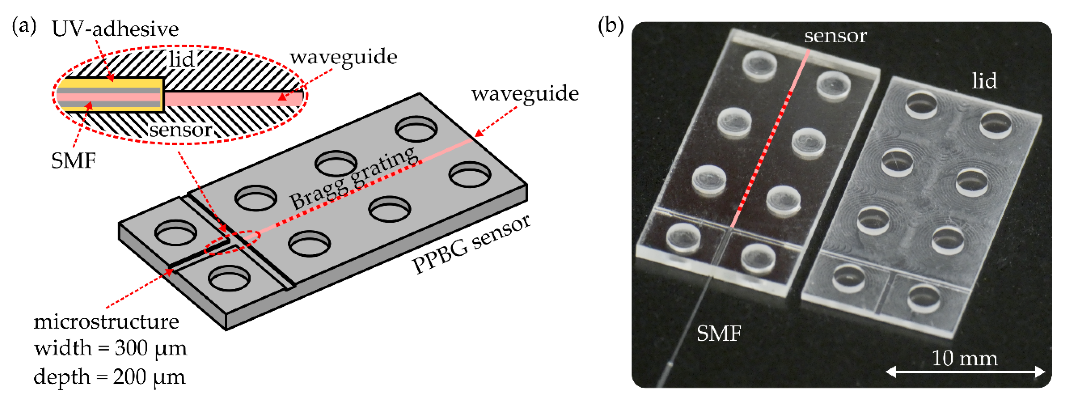 Sensors 20 05452 g002 Sensors 20 05452 g002
