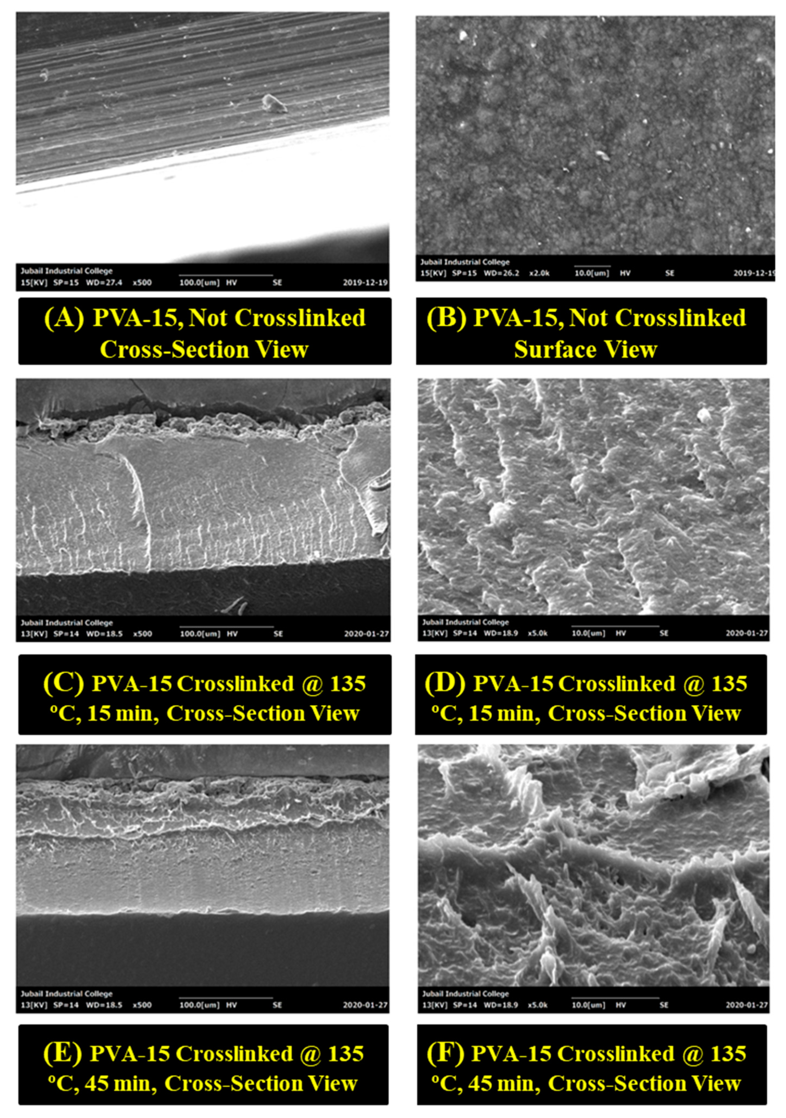 Sensors 20 05462 g008