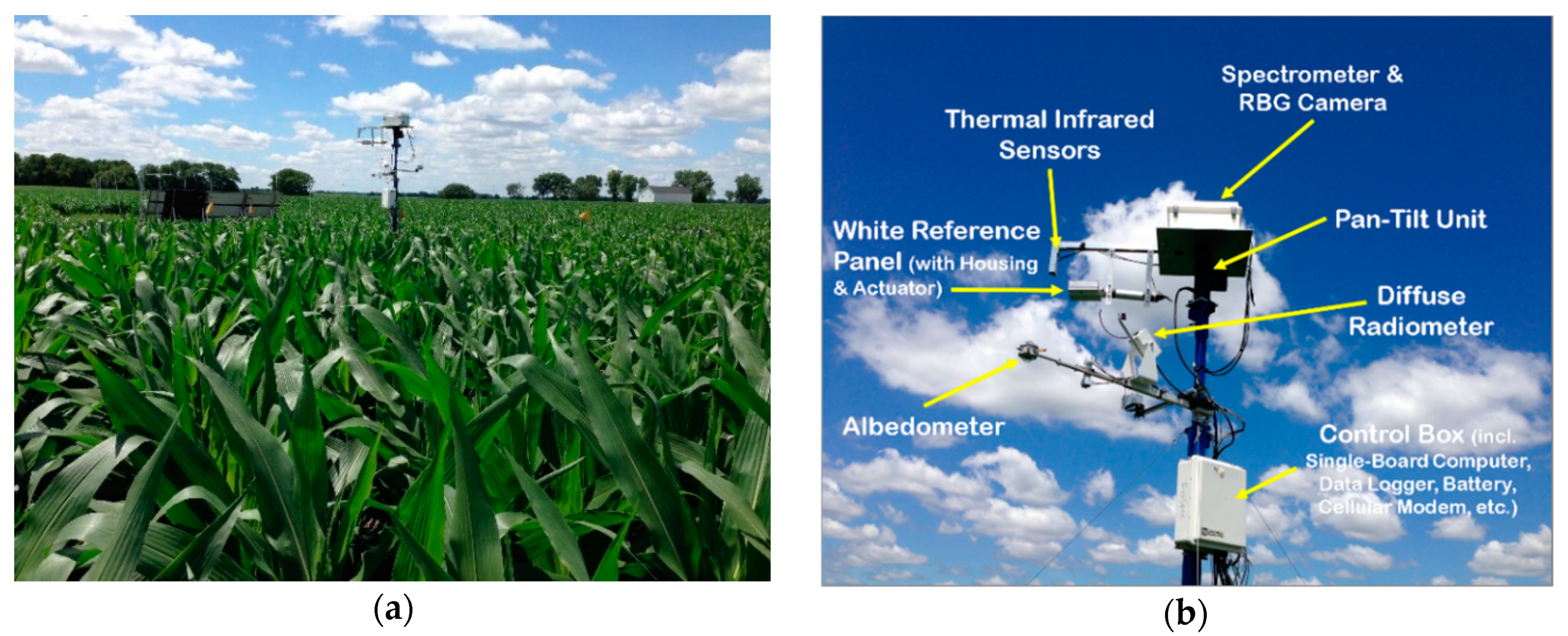 Sensors 20 05463 g001 Sensors 20 05463 g001