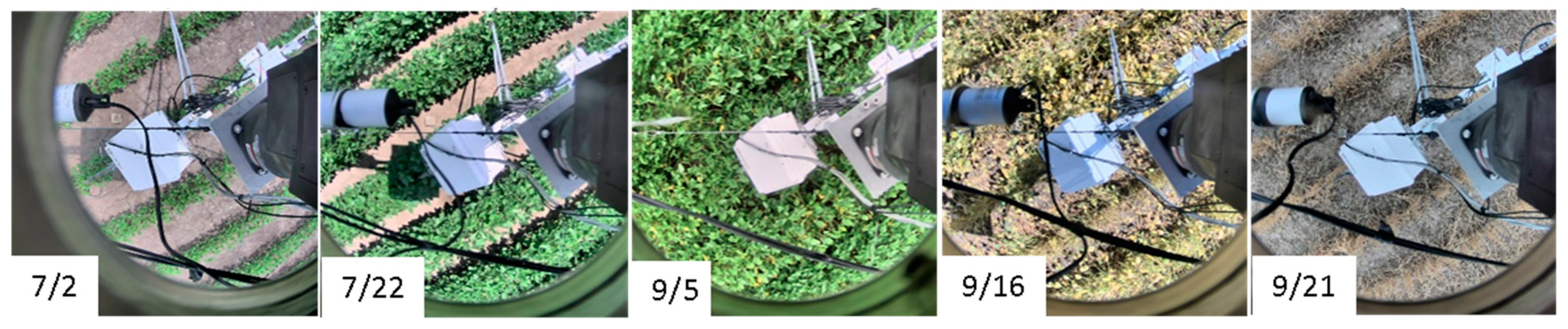 Sensors 20 05463 g004 Sensors 20 05463 g004