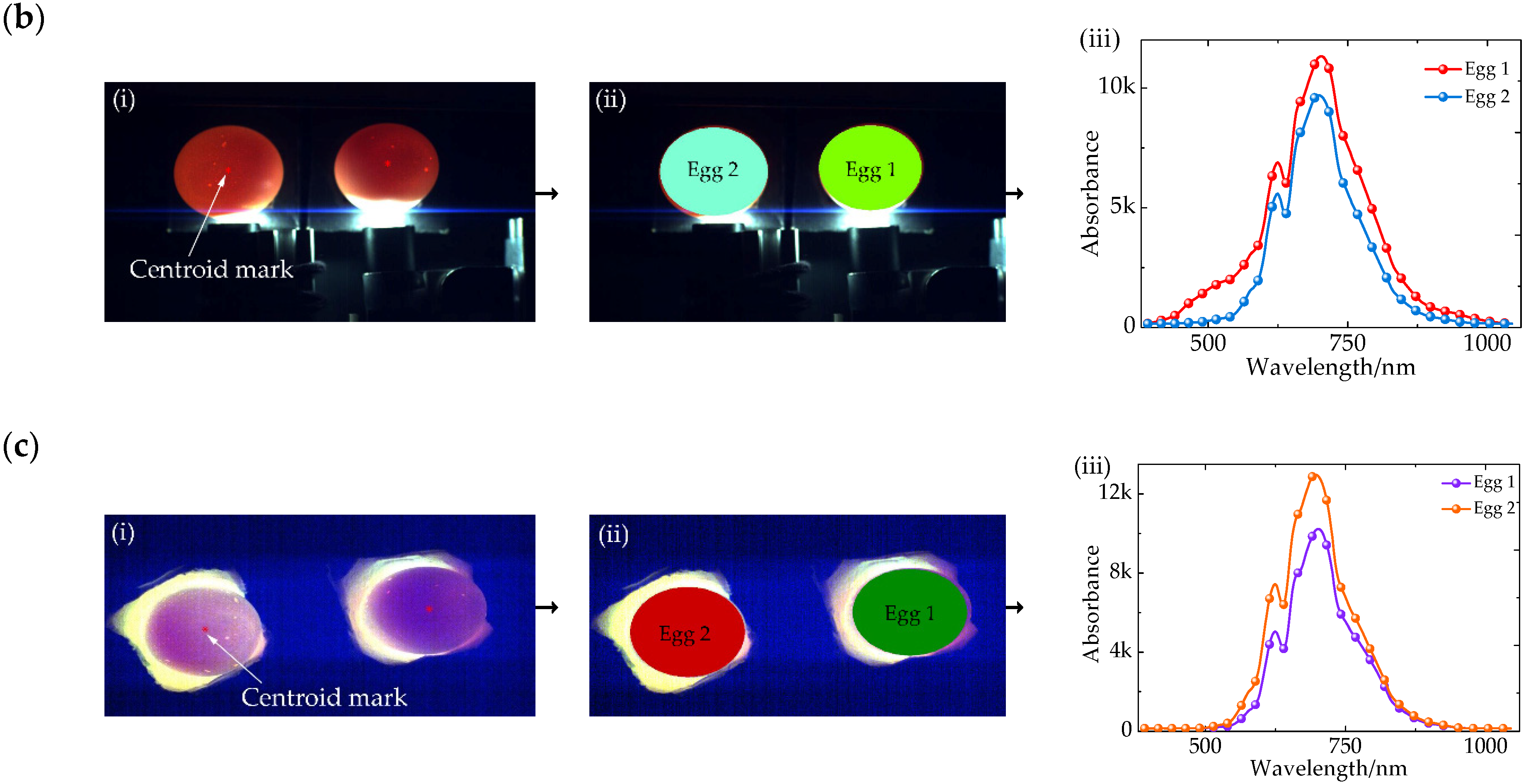 Sensors 20 05484 g003b