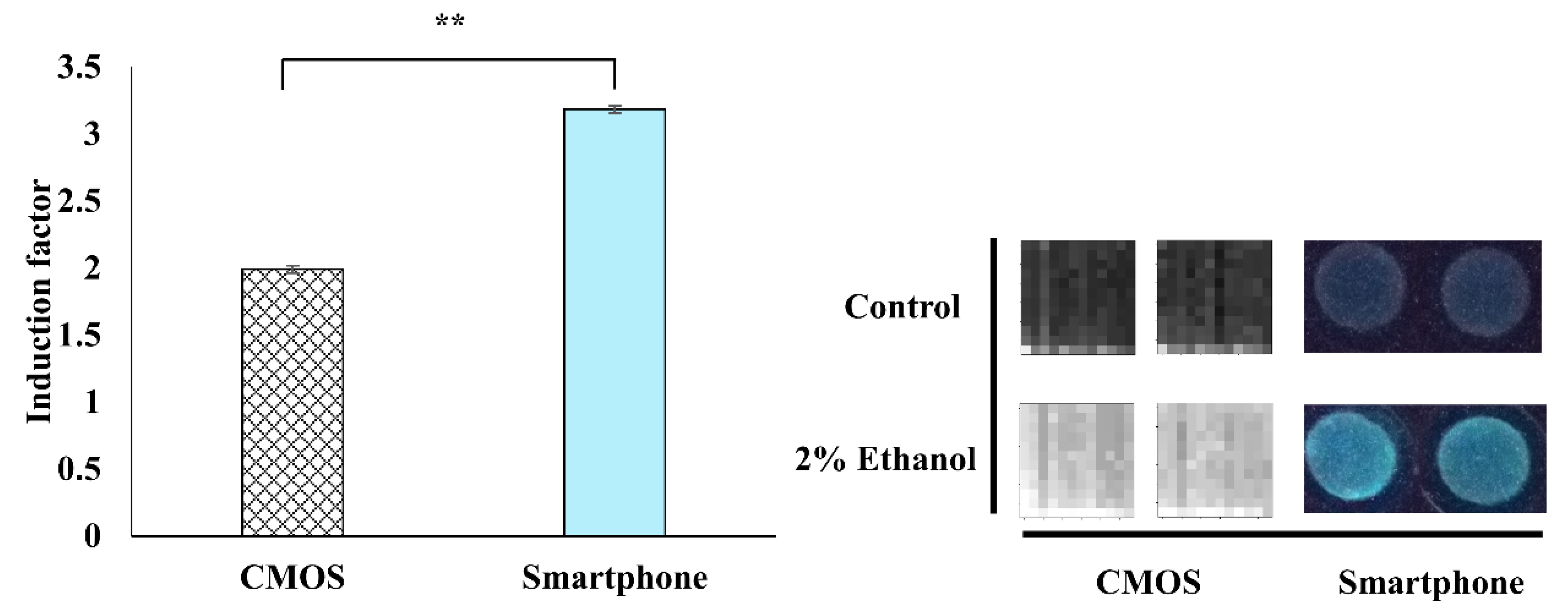 Sensors 20 05486 g008 Sensors 20 05486 g008