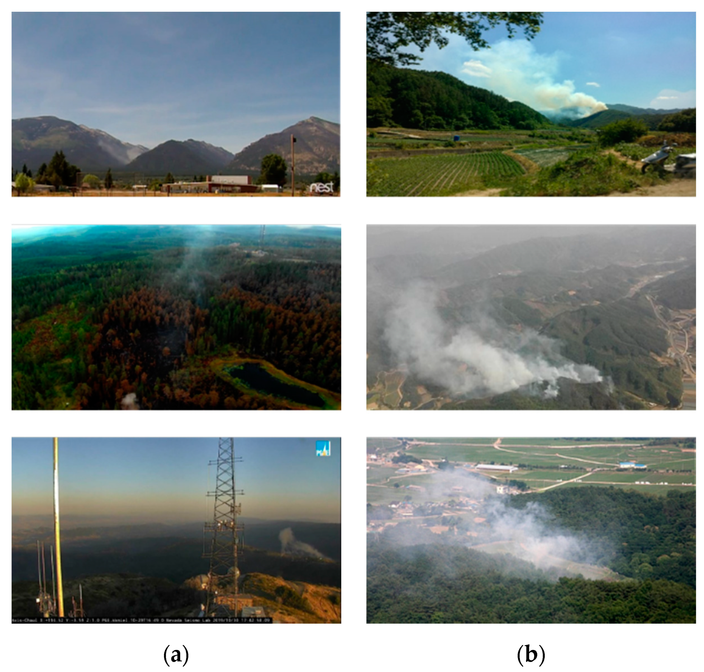 Sensors 20 05508 g007a