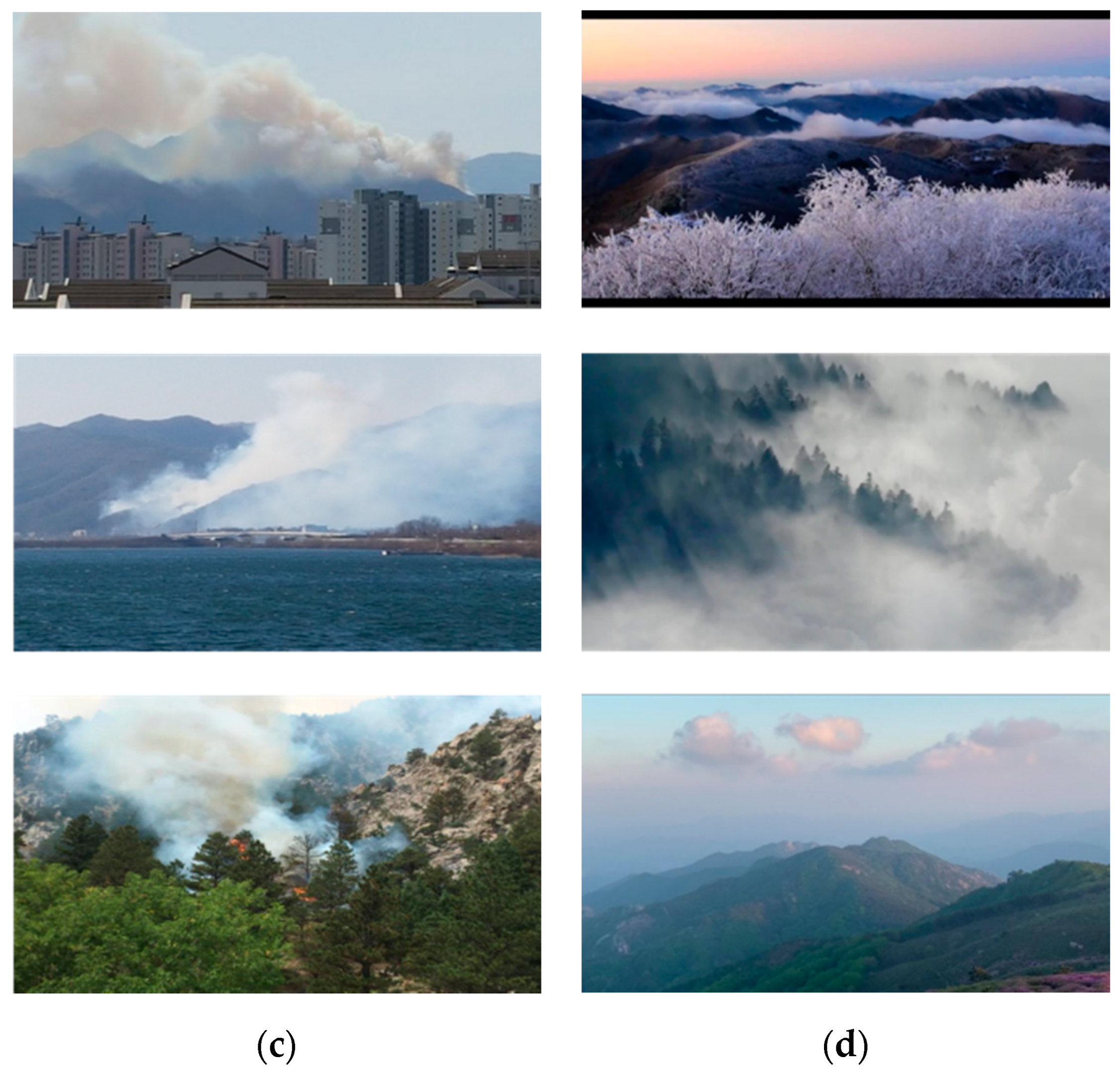 Sensors 20 05508 g007b