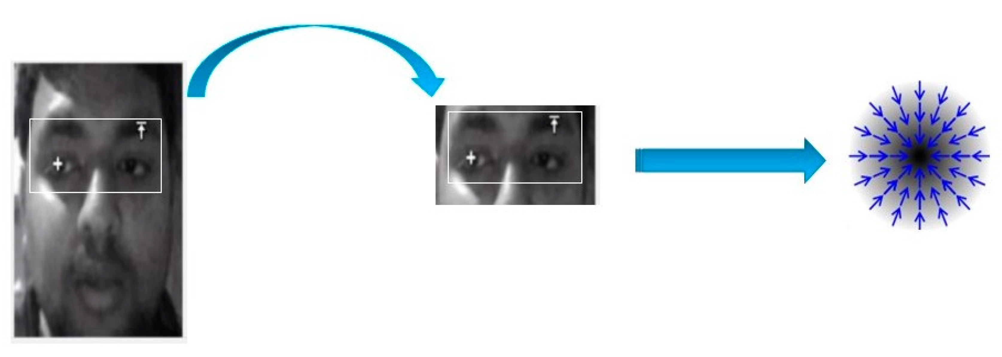 Sensors 20 05510 g005 550