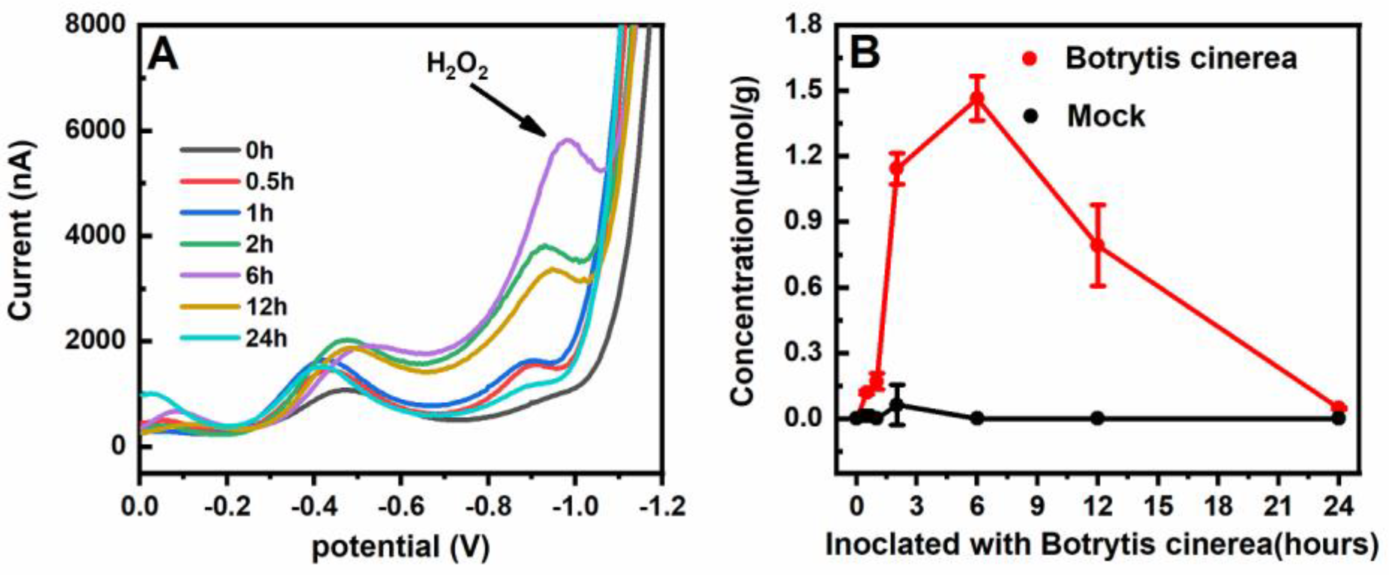 Sensors 20 05512 g005