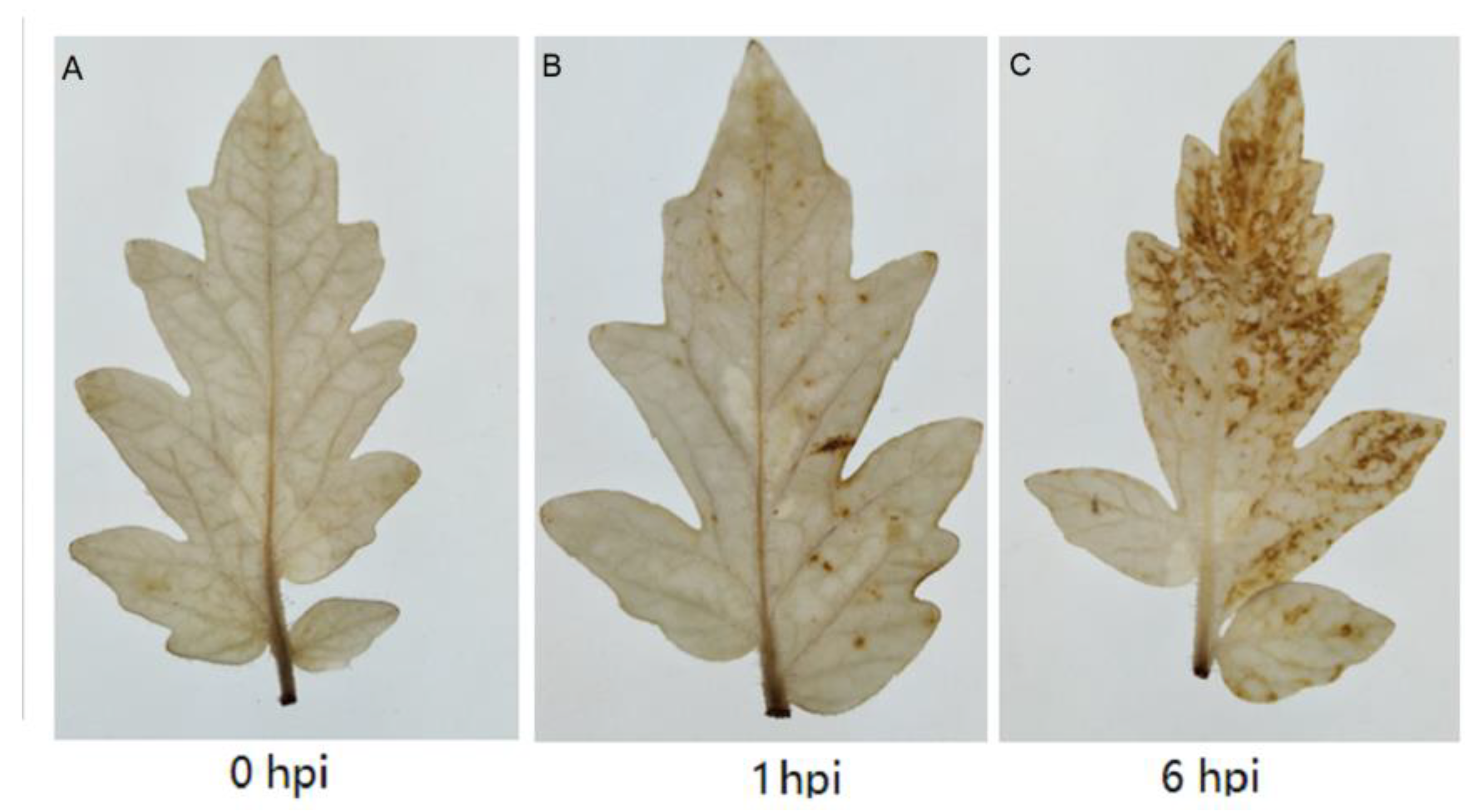 Sensors 20 05512 g006