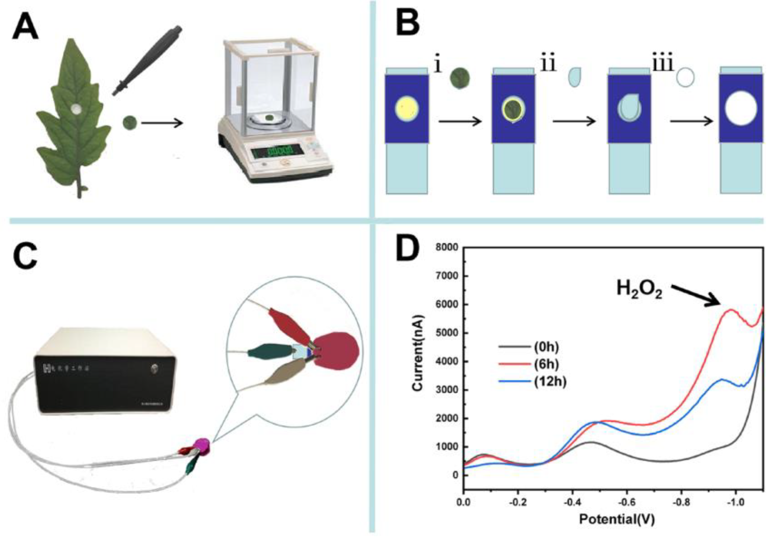 Sensors 20 05512 sch002