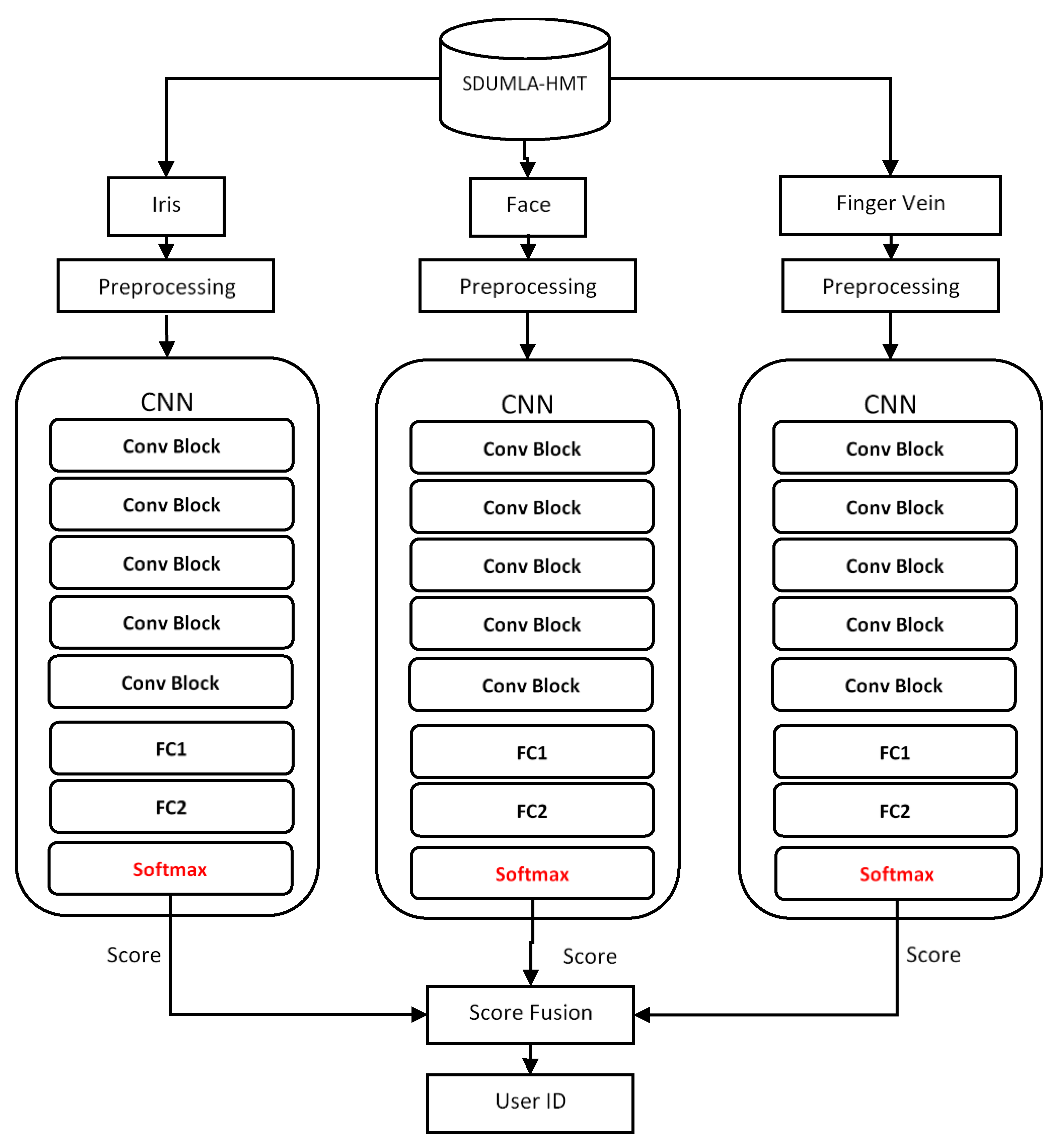Sensors 20 05523 g003