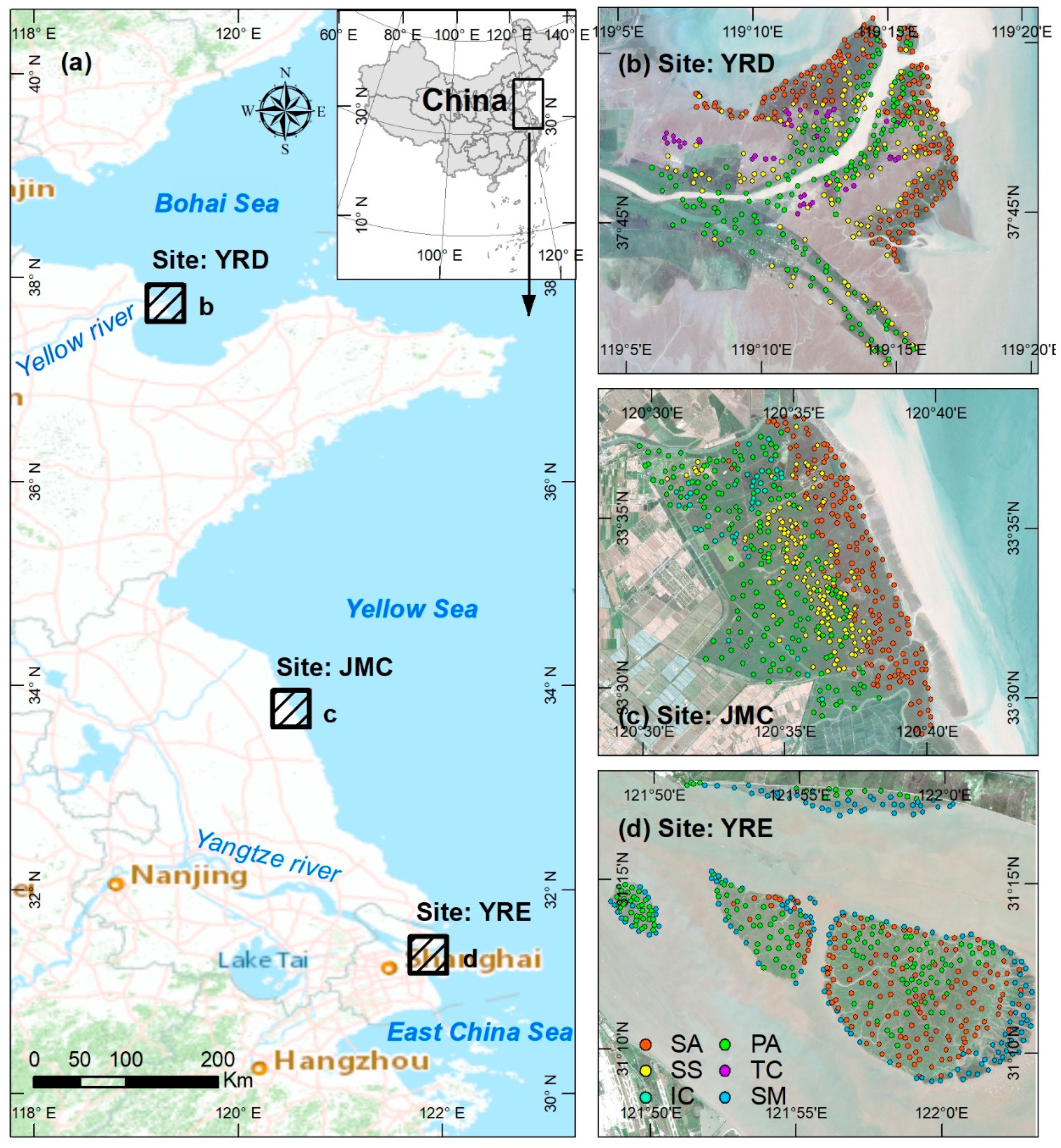 Sensors Free Full Text Evaluation Of Vegetation Index Based Curve Fitting Models For Accurate Classification Of Salt Marsh Vegetation Using Sentinel 2 Time Series Html