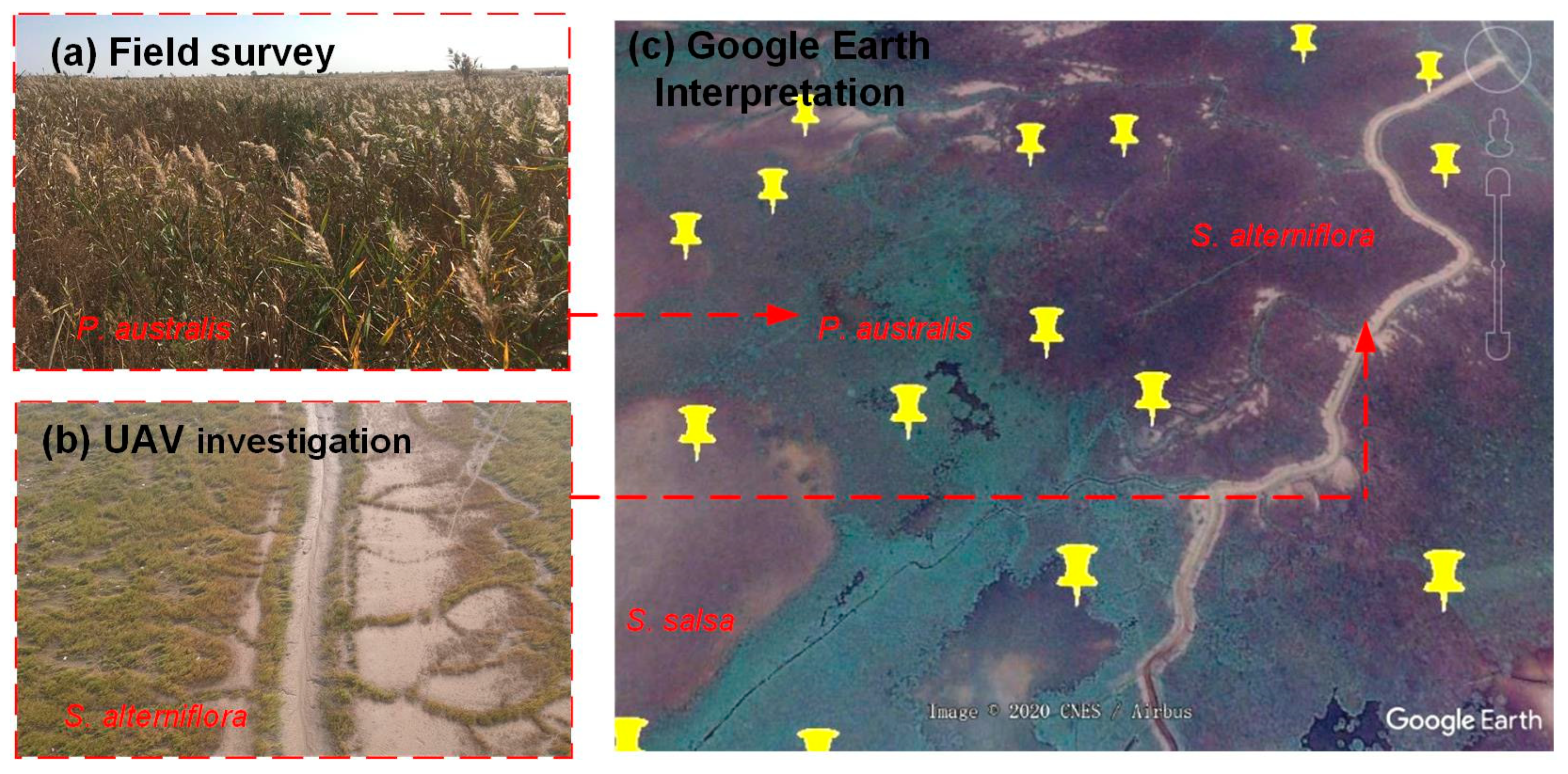 Sensors 20 05551 g003 Sensors 20 05551 g003