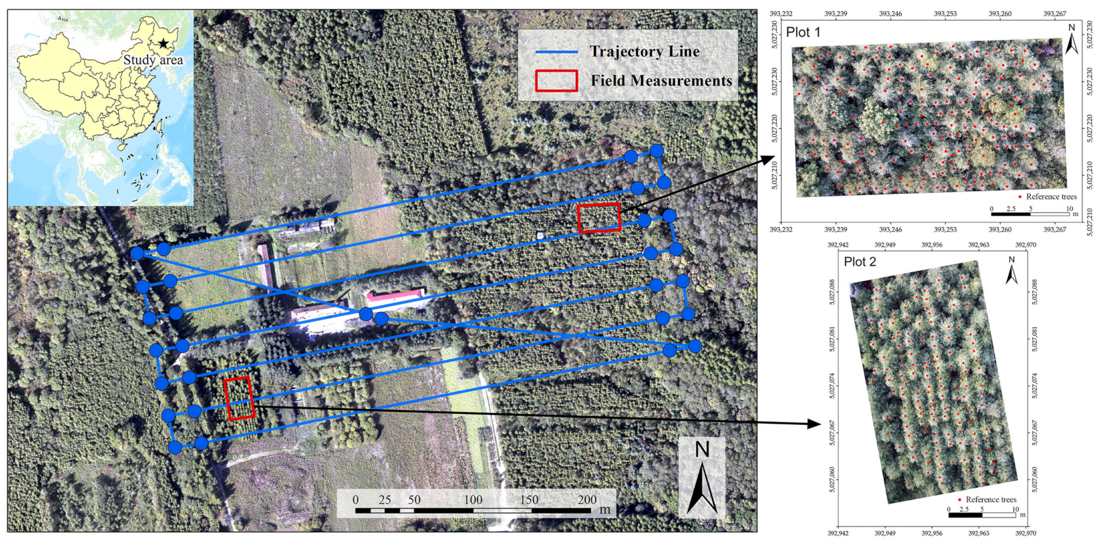Sensors 20 05555 g001 Sensors 20 05555 g001
