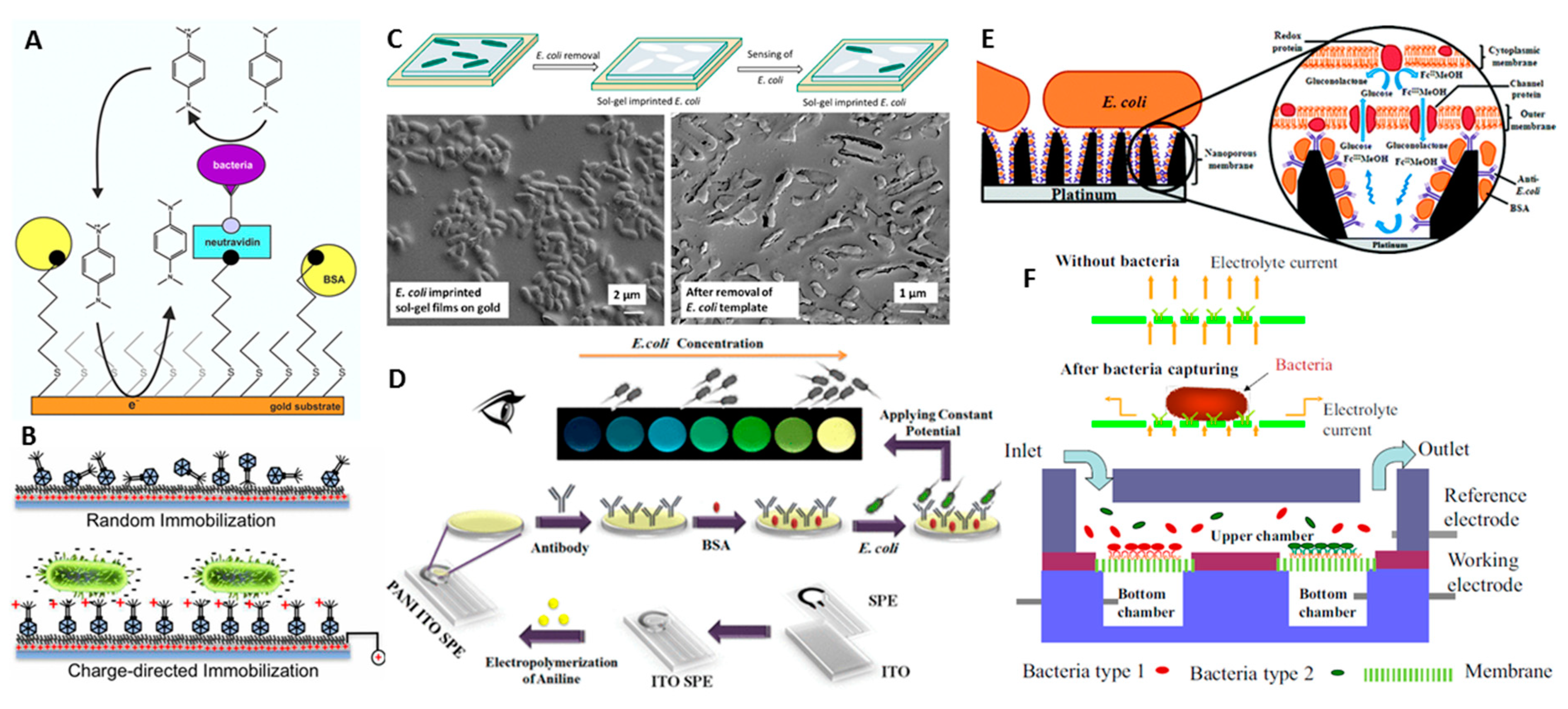 Sensors 20 05561 g003 Sensors 20 05561 g003