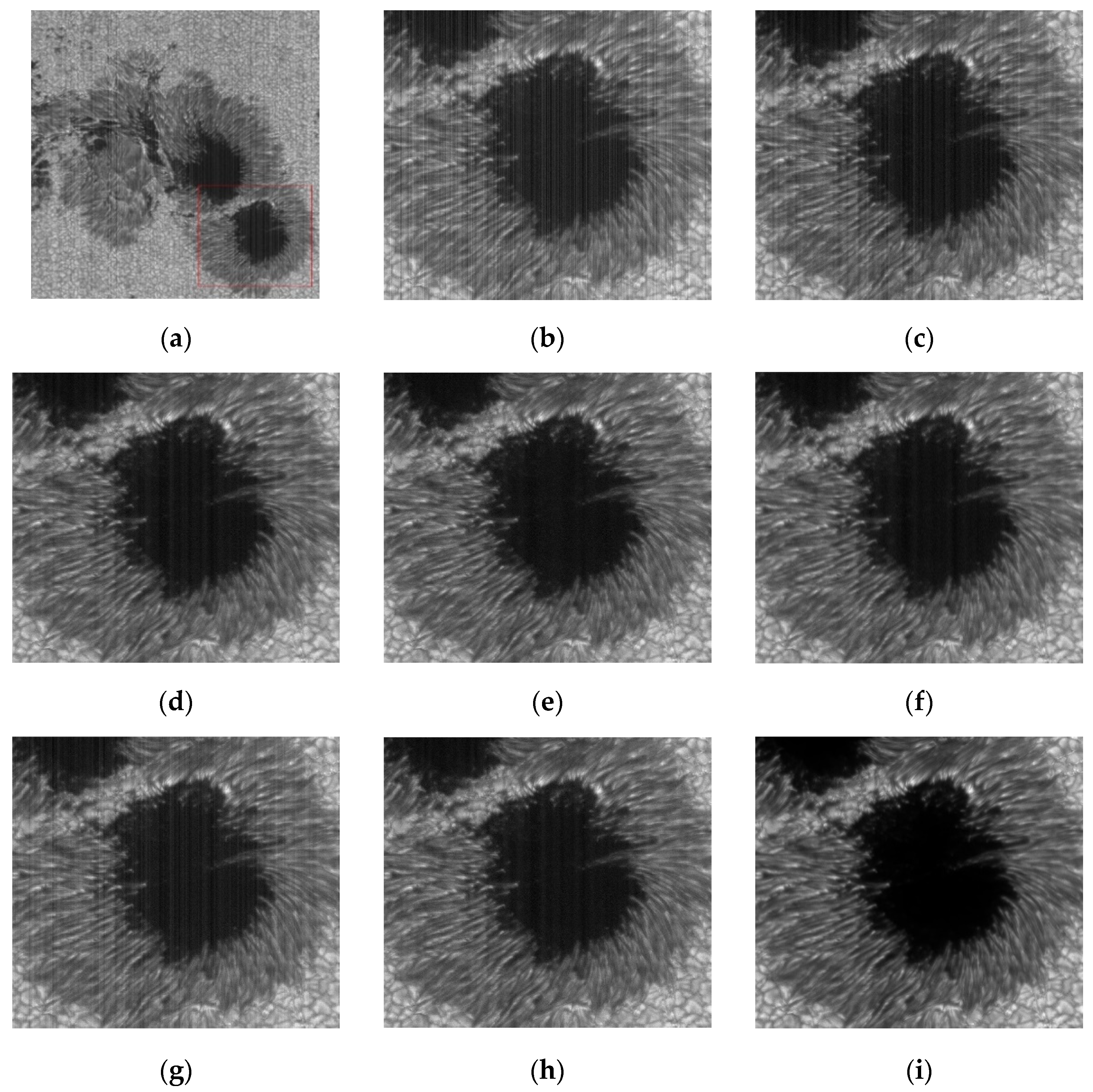 Sensors 20 05567 g013