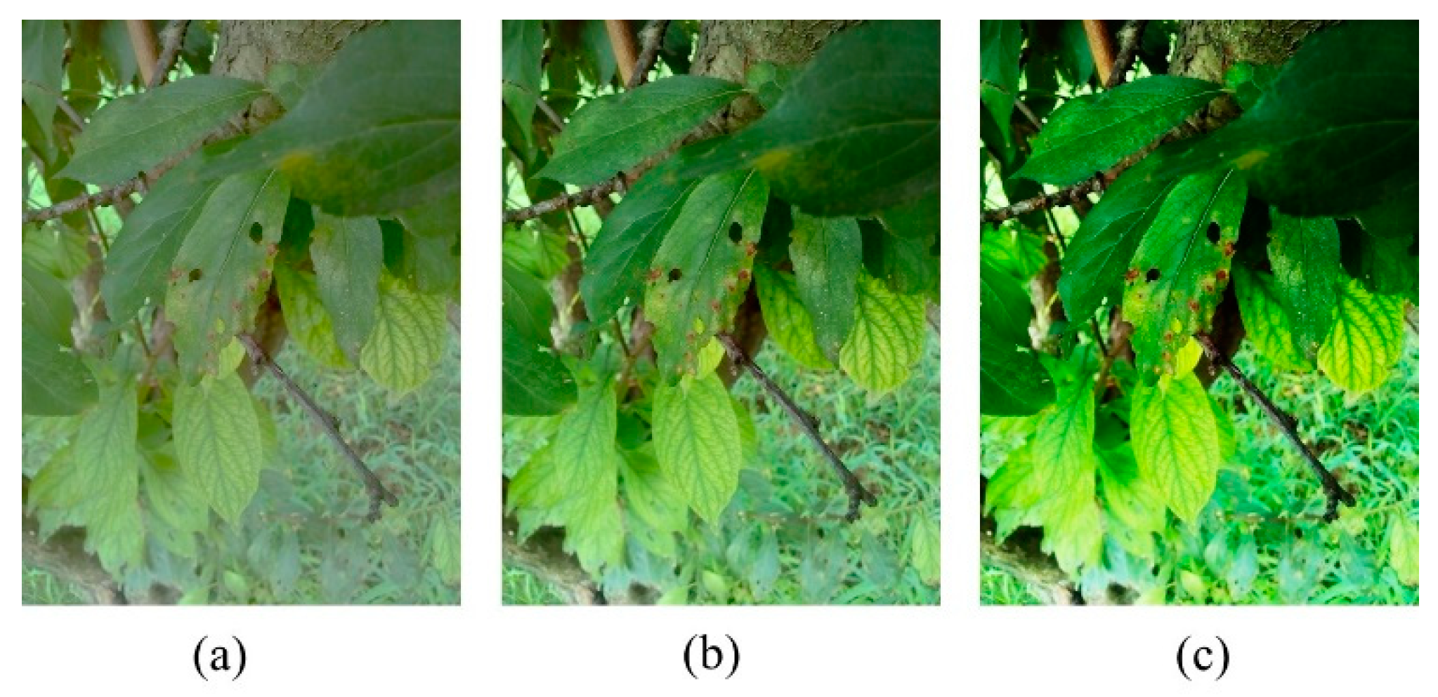Sensors 20 05569 g002