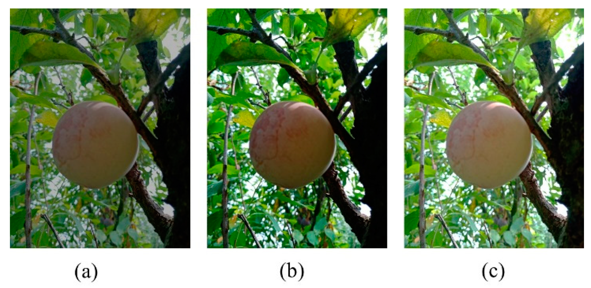 Sensors 20 05569 g003