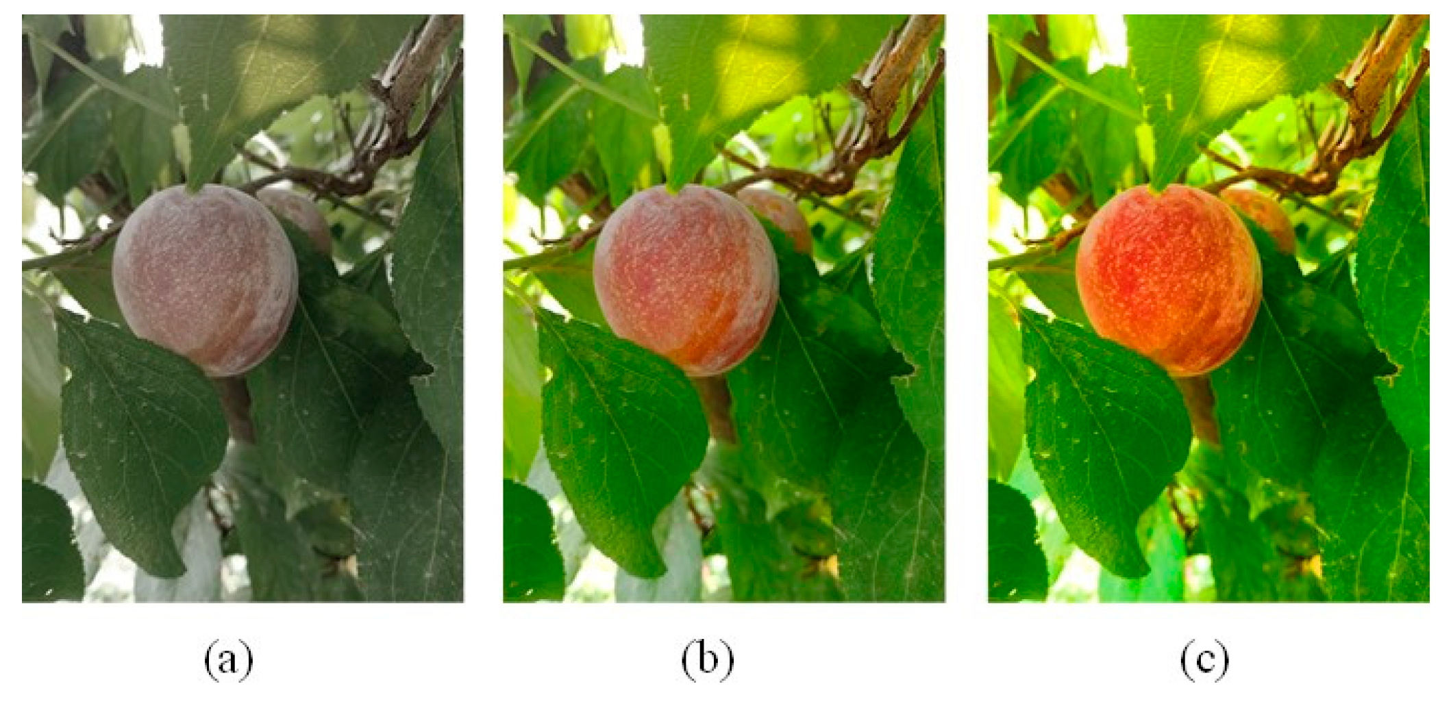 Sensors 20 05569 g004