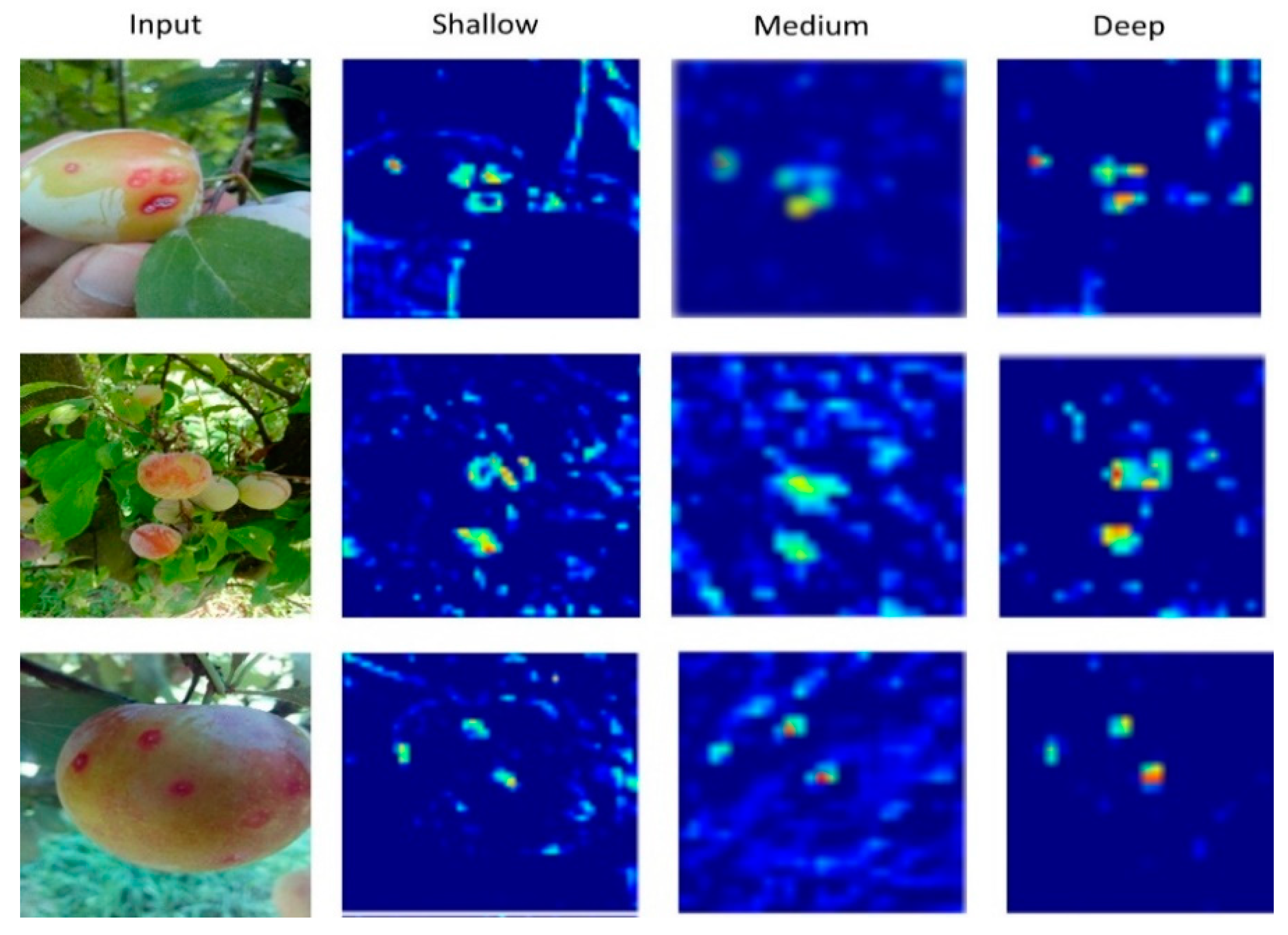Sensors 20 05569 g008