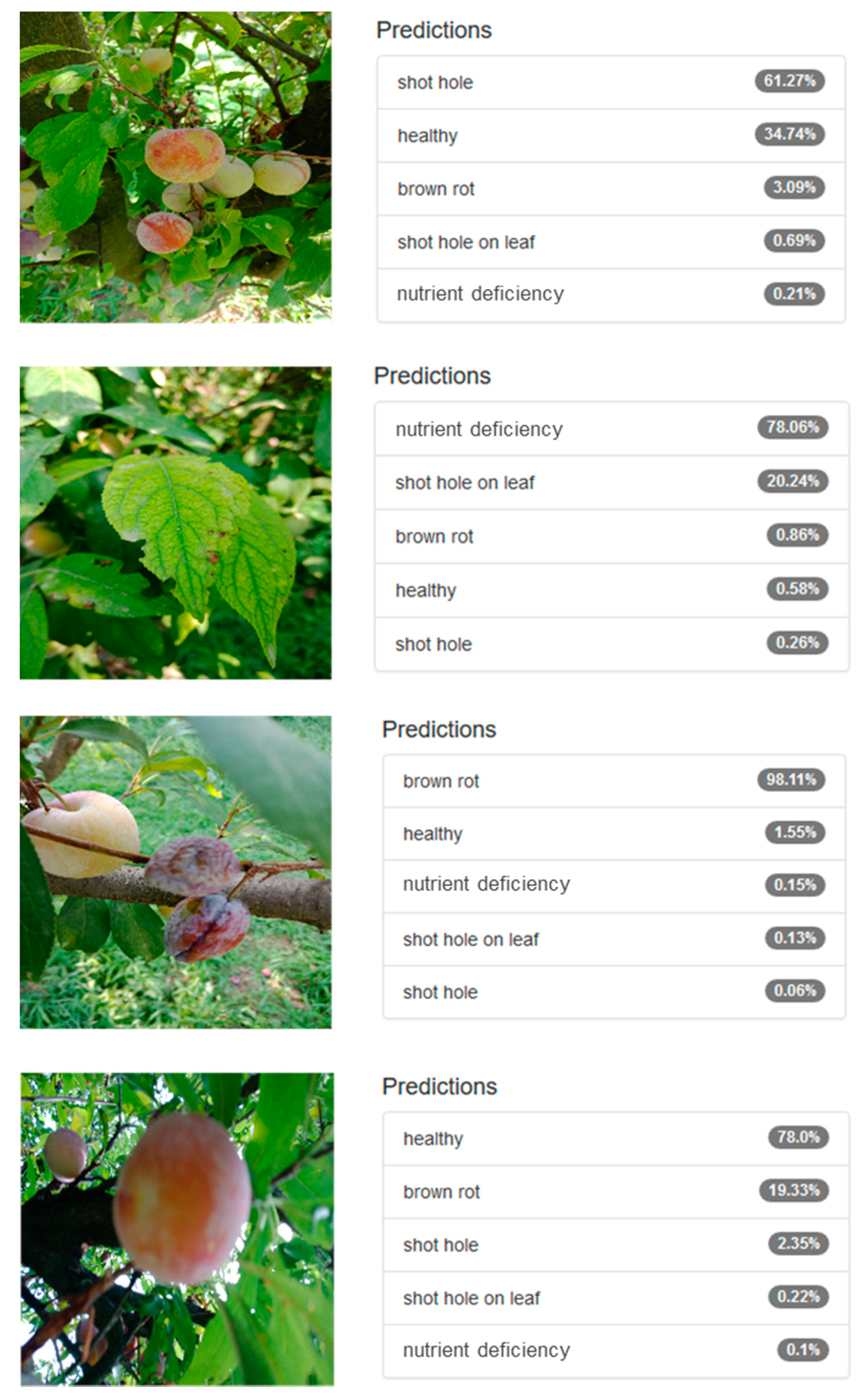 Sensors 20 05569 g011