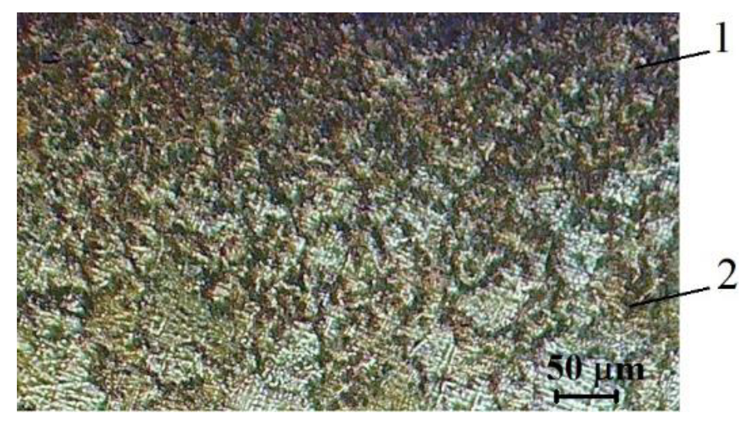 Sensors 20 05575 g012