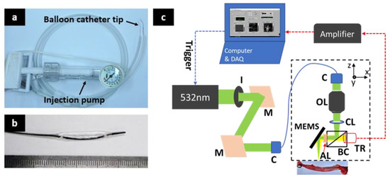Sensors Free Full Text Feasibility Study Of Precise Balloon Catheter Tracking And Visualization With Fast Photoacoustic Microscopy Html