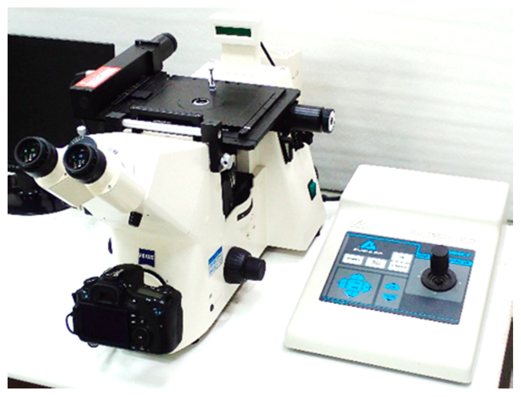 Sensors 20 05593 g001 Sensors 20 05593 g001